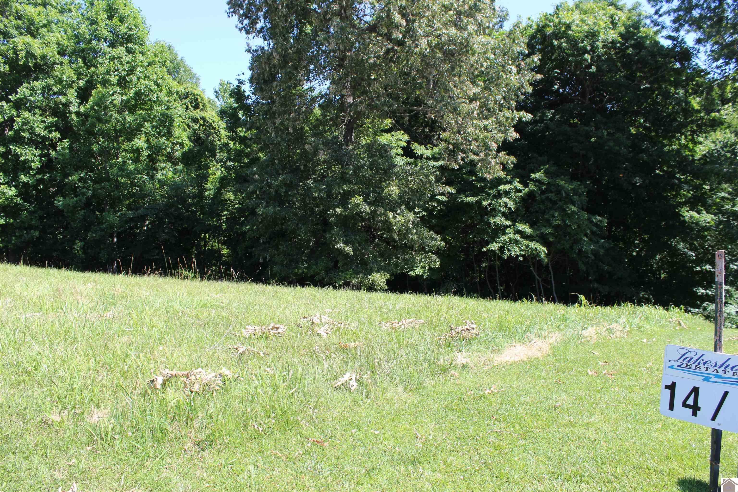 Lots 14 Oak View Lane, Eddyville, KY 42038 Listing Photo  1