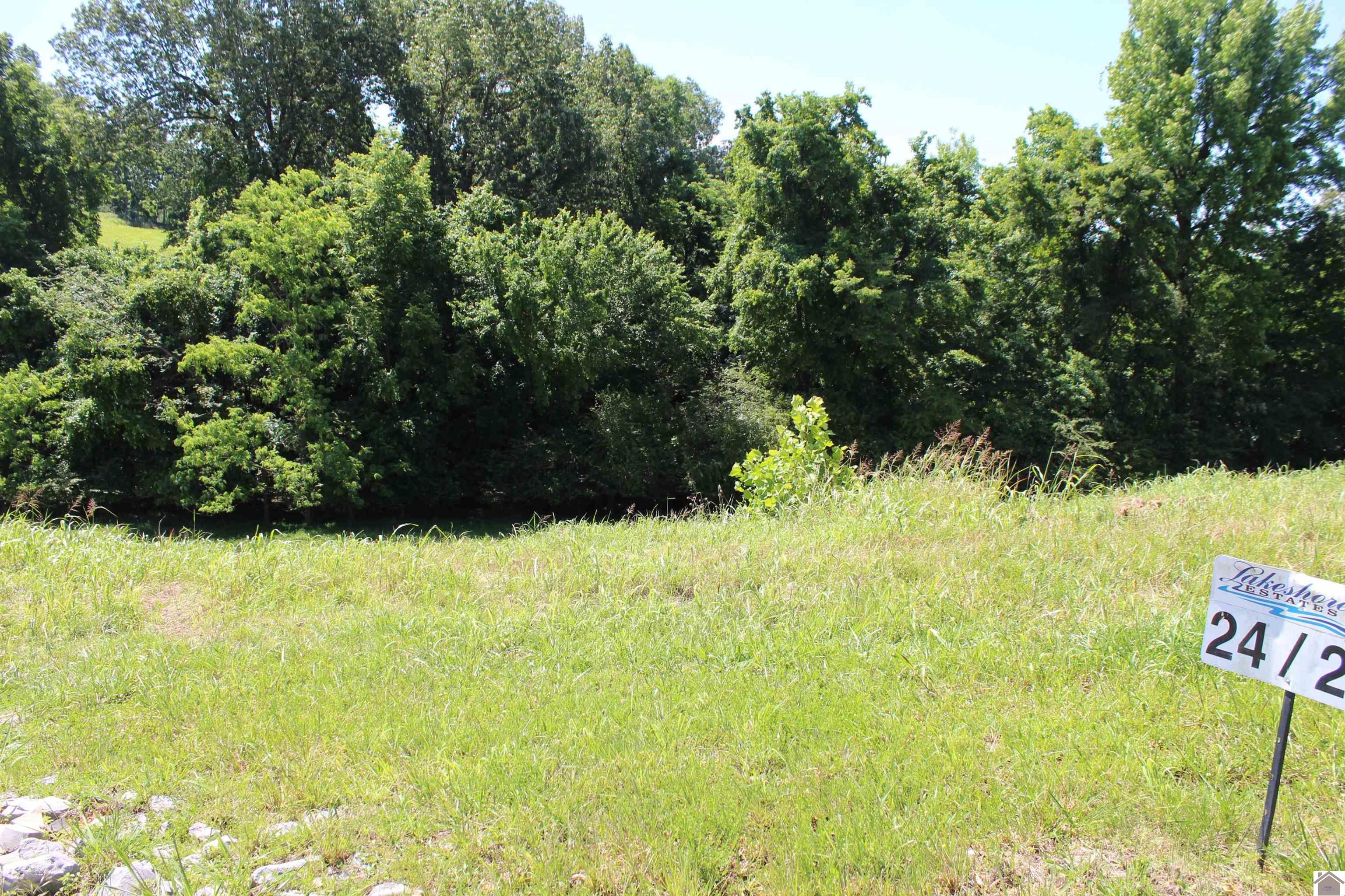Lot 24 Oak View Lane Eddyville KY 42038 Active