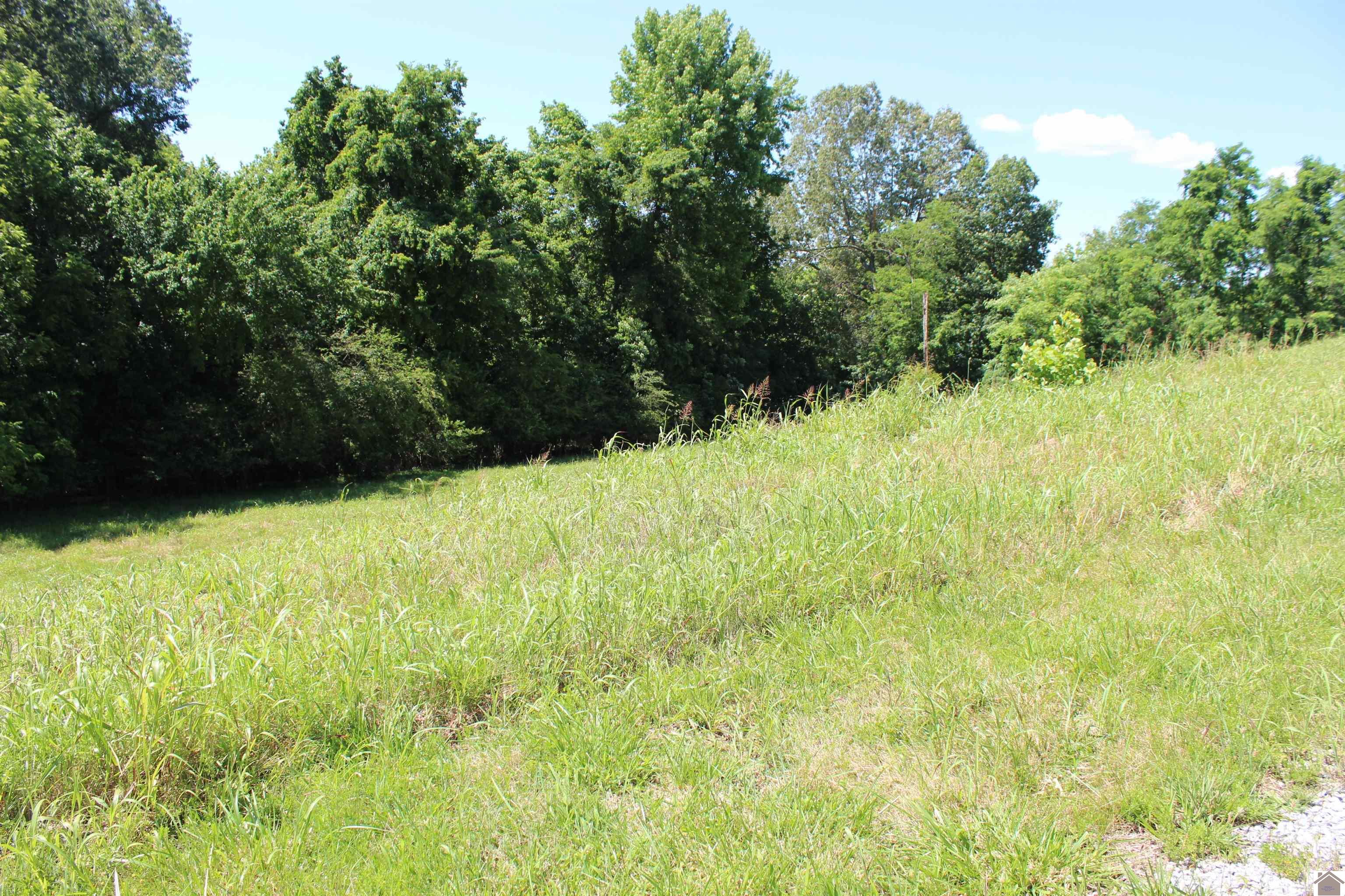 Lot 24 Oak View Lane, Eddyville, KY 42038 Listing Photo  2