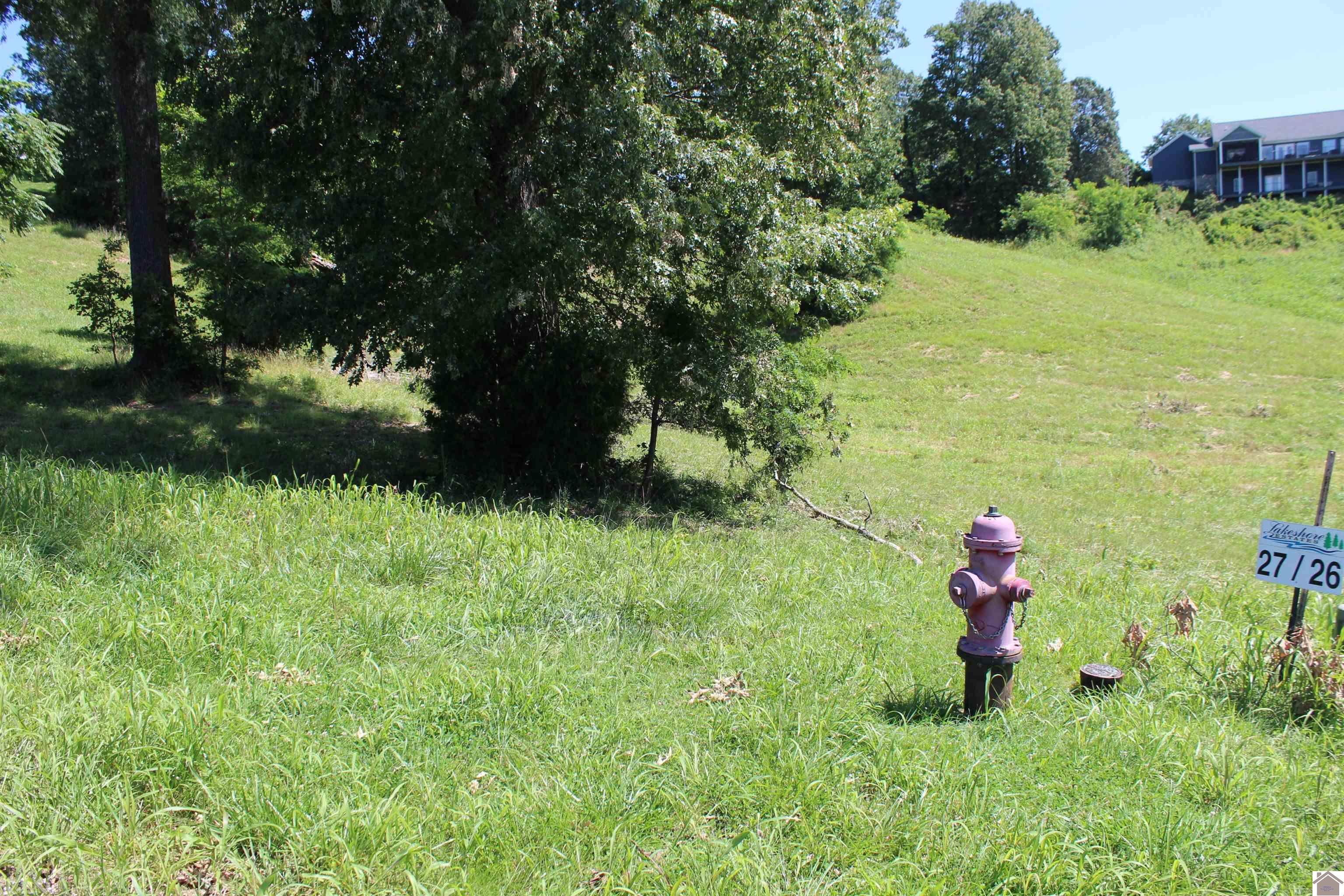 Lot 27 Oak View Lane, Eddyville, KY 42038 Listing Photo  1