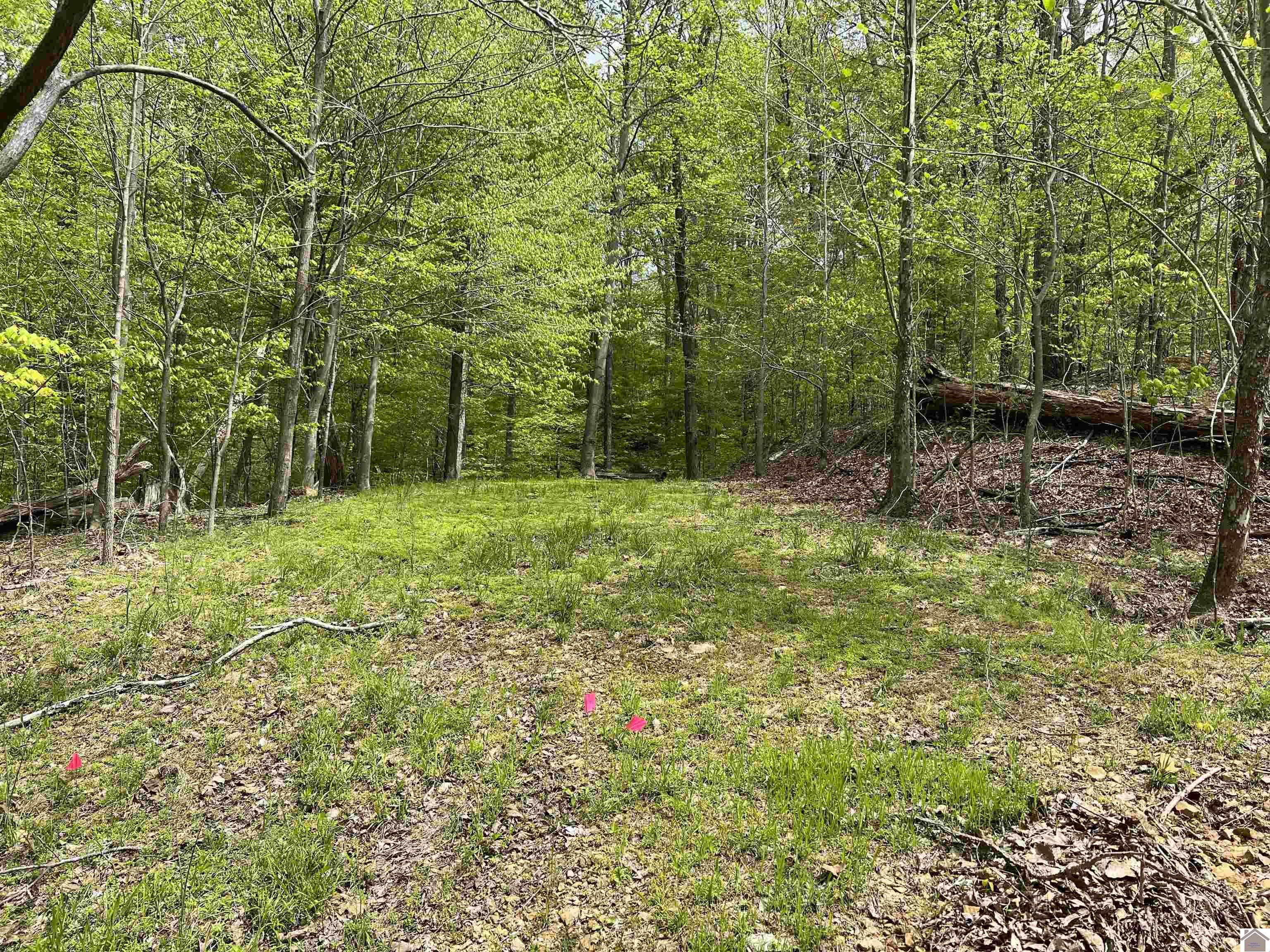 0000 Blake Road, Eddyville, KY 42055 Listing Photo  1