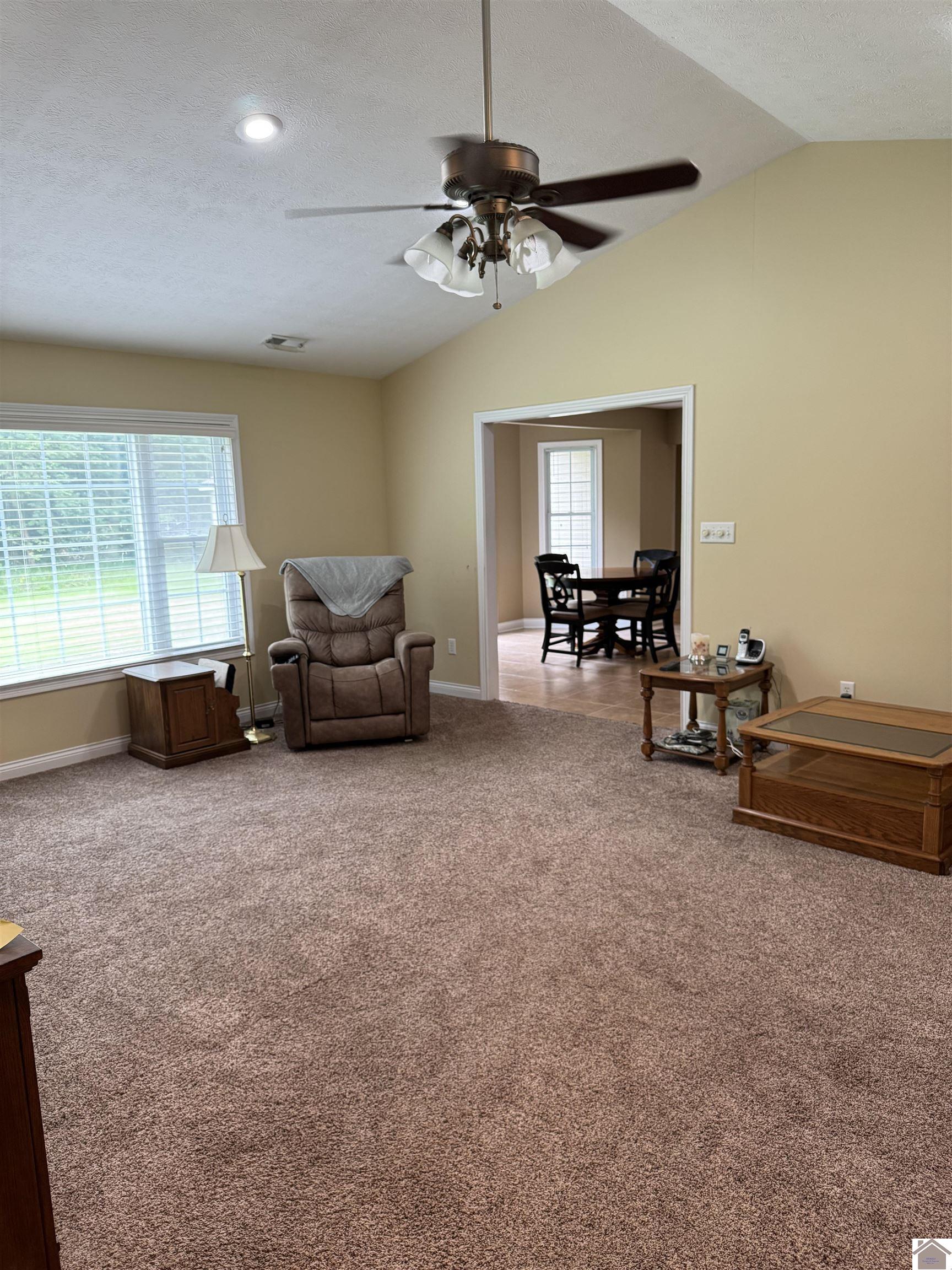 115 Summers Lane, Kevil, KY 42053 Listing Photo  11