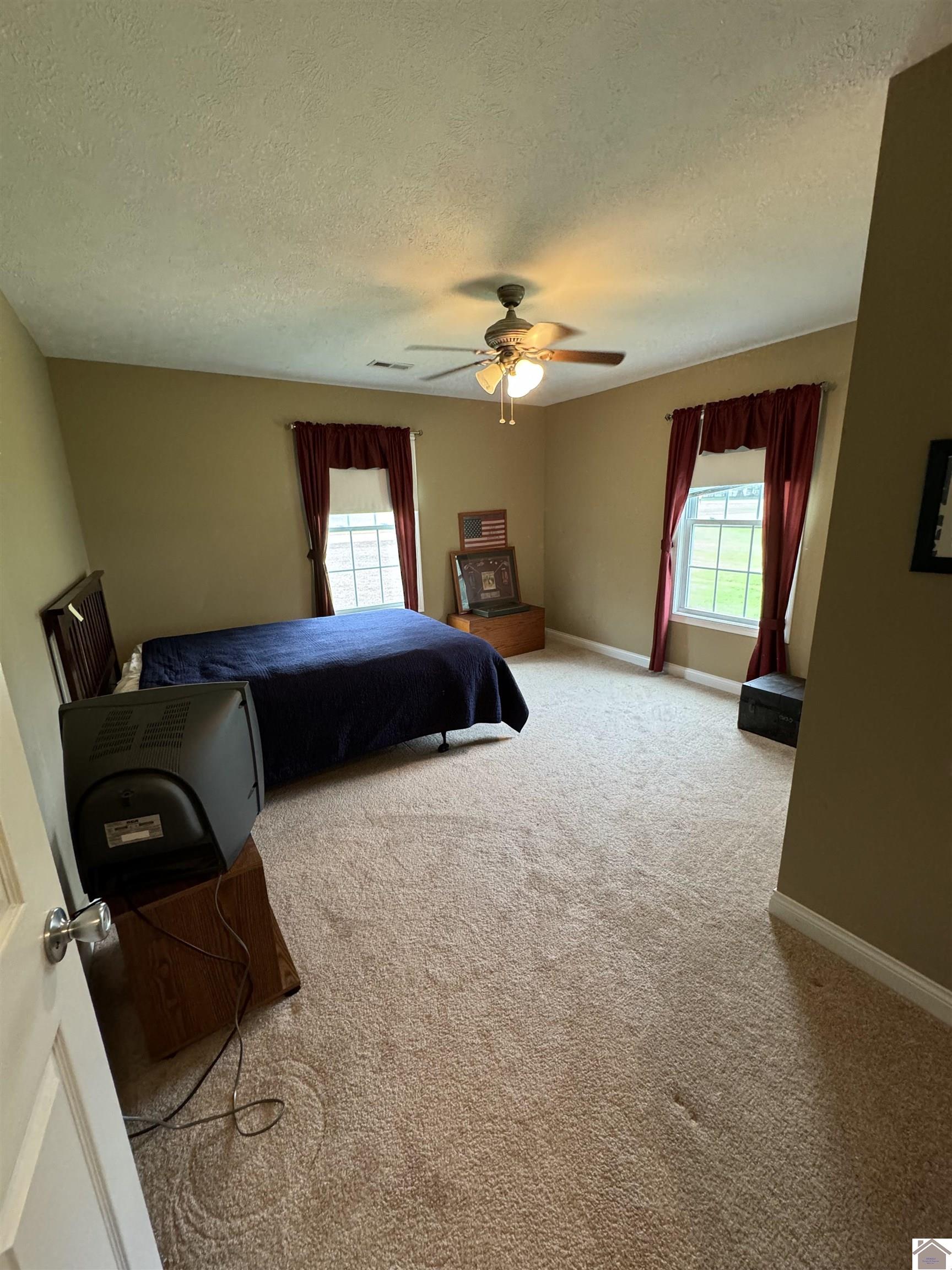 115 Summers Lane, Kevil, KY 42053 Listing Photo  25