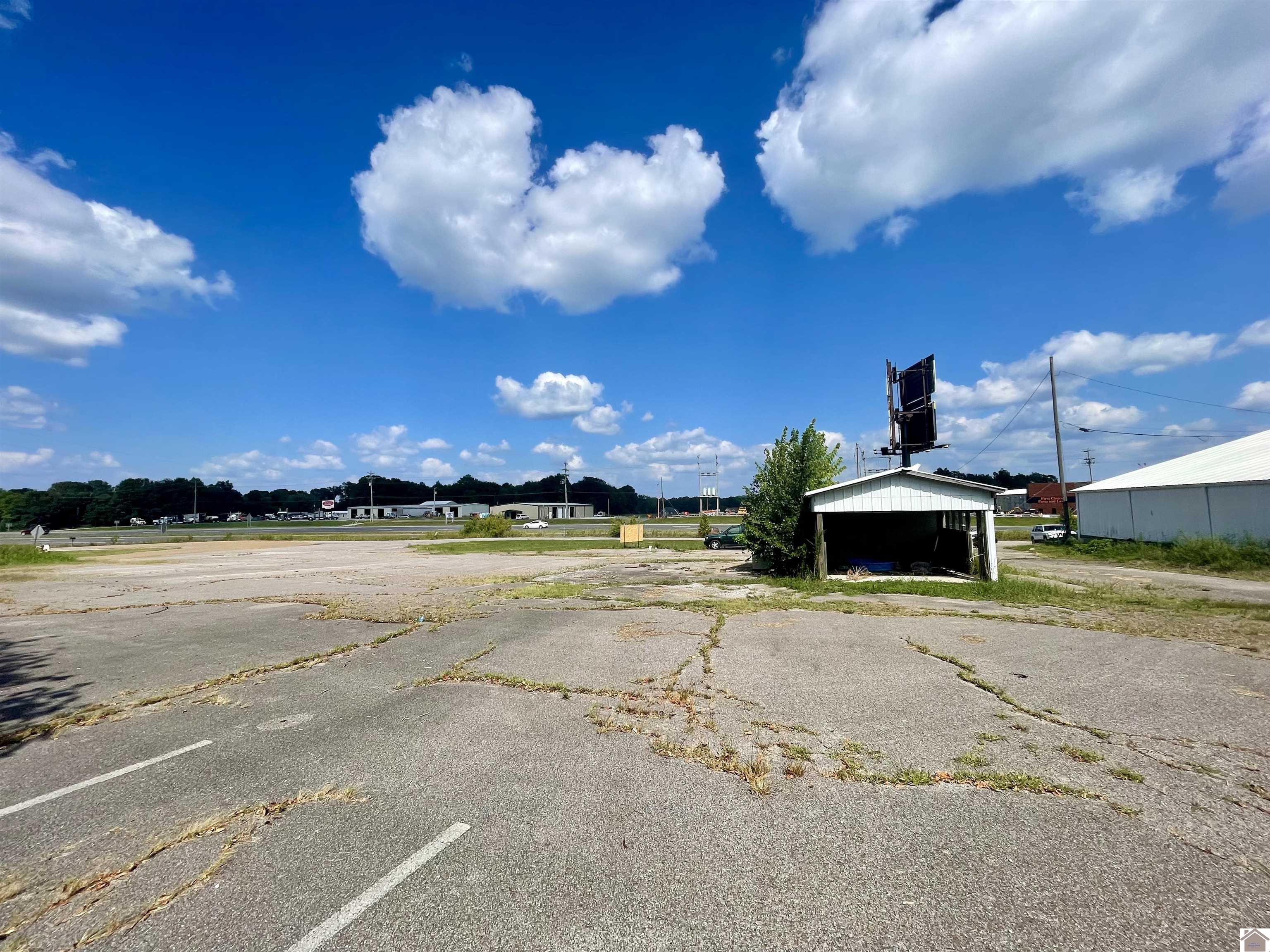 3429 State Route 45 N, Mayfield, KY 42066 Listing Photo  4