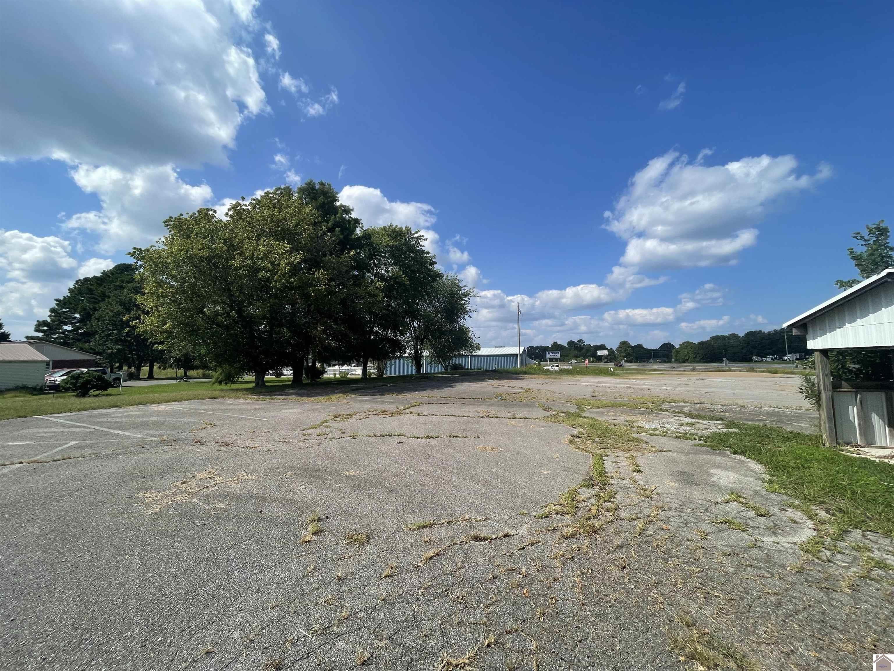 3429 State Route 45 N, Mayfield, KY 42066 Listing Photo  6