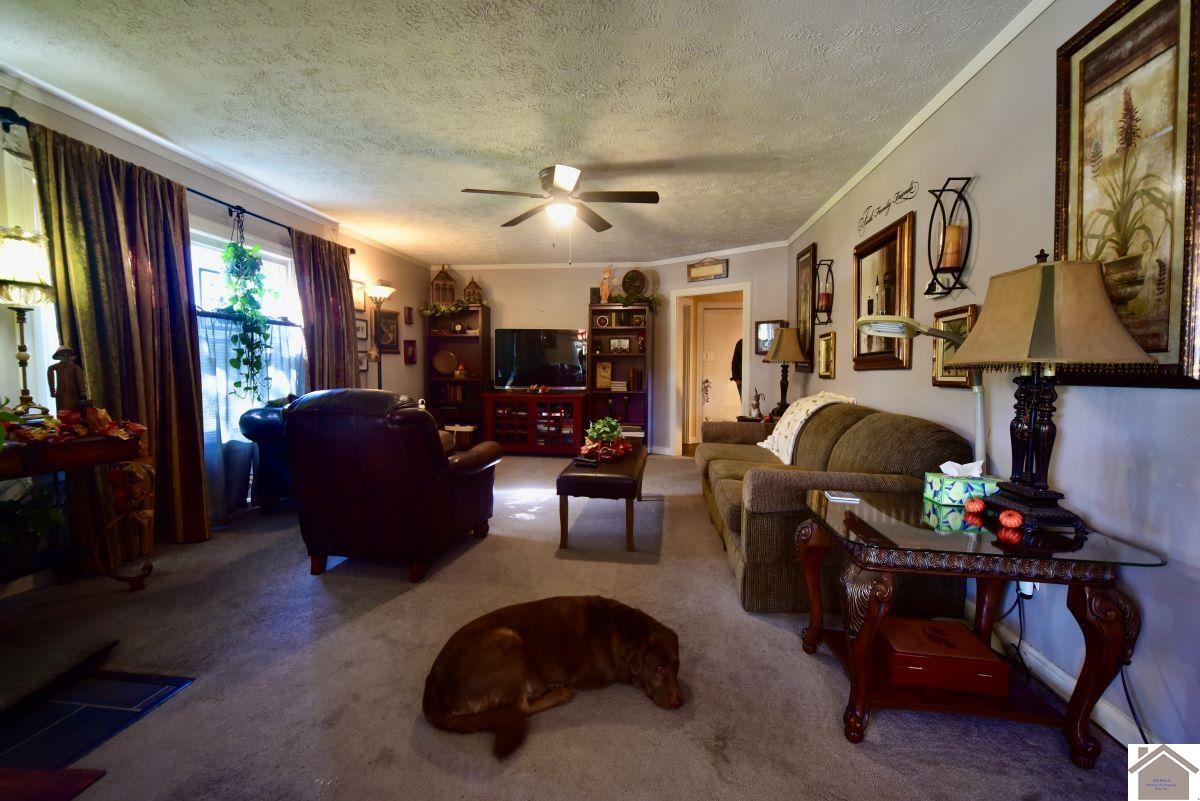 2999 ST RT 45 S., Mayfield, KY 42066 Listing Photo  18