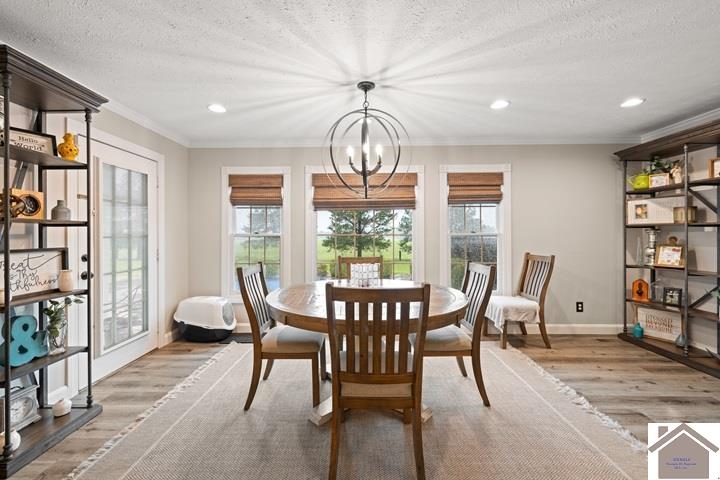 2125 ST RT 1124, Mayfield, KY 42066 Listing Photo  20
