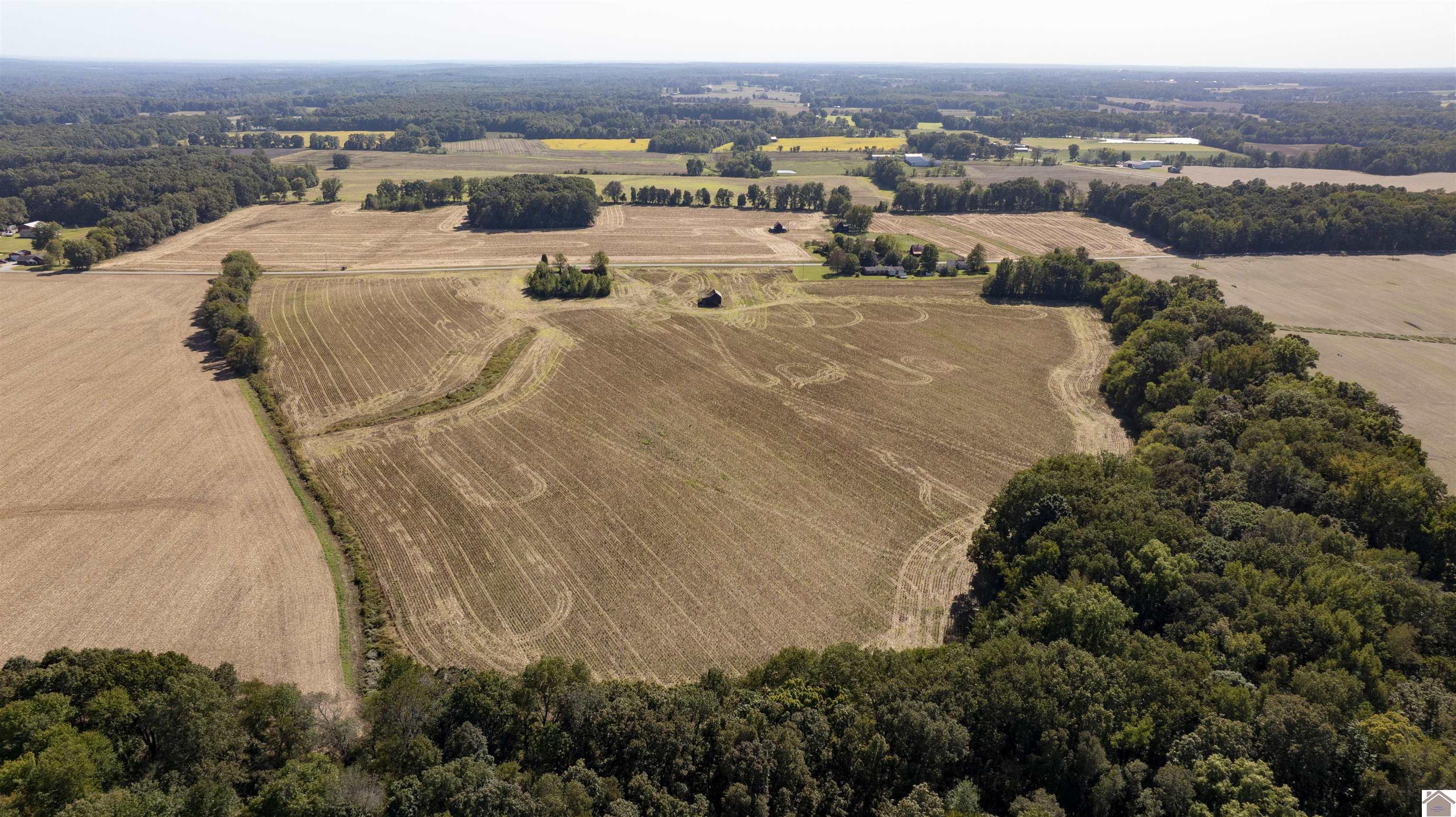 000 State Line Road East, Hazel, KY 42049 Listing Photo  5