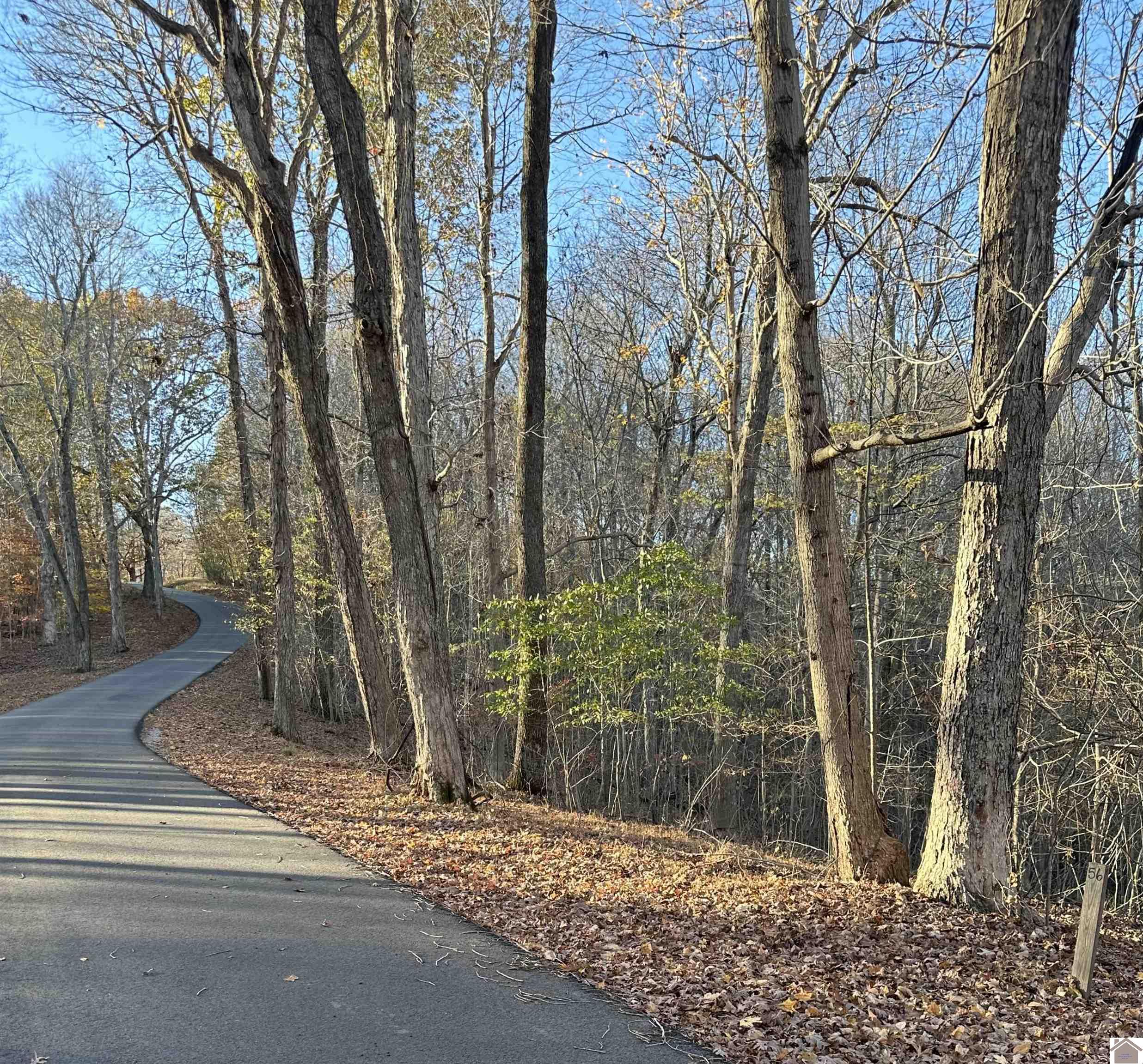 Lot 56/57 Lisanby Road, Eddyville, KY 42038 Listing Photo  1