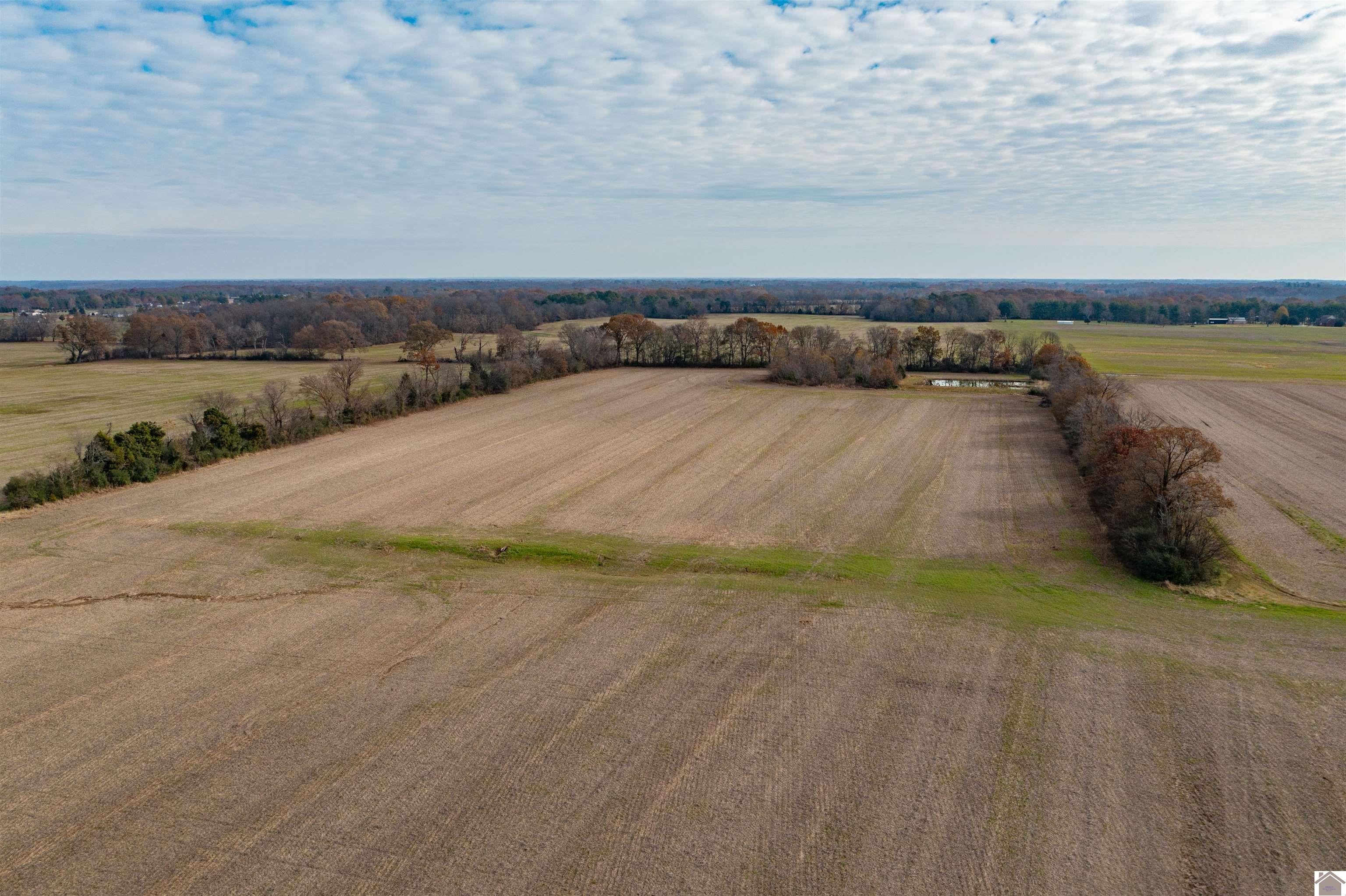 000 Spring Road, Murray, KY 42071 Listing Photo  11