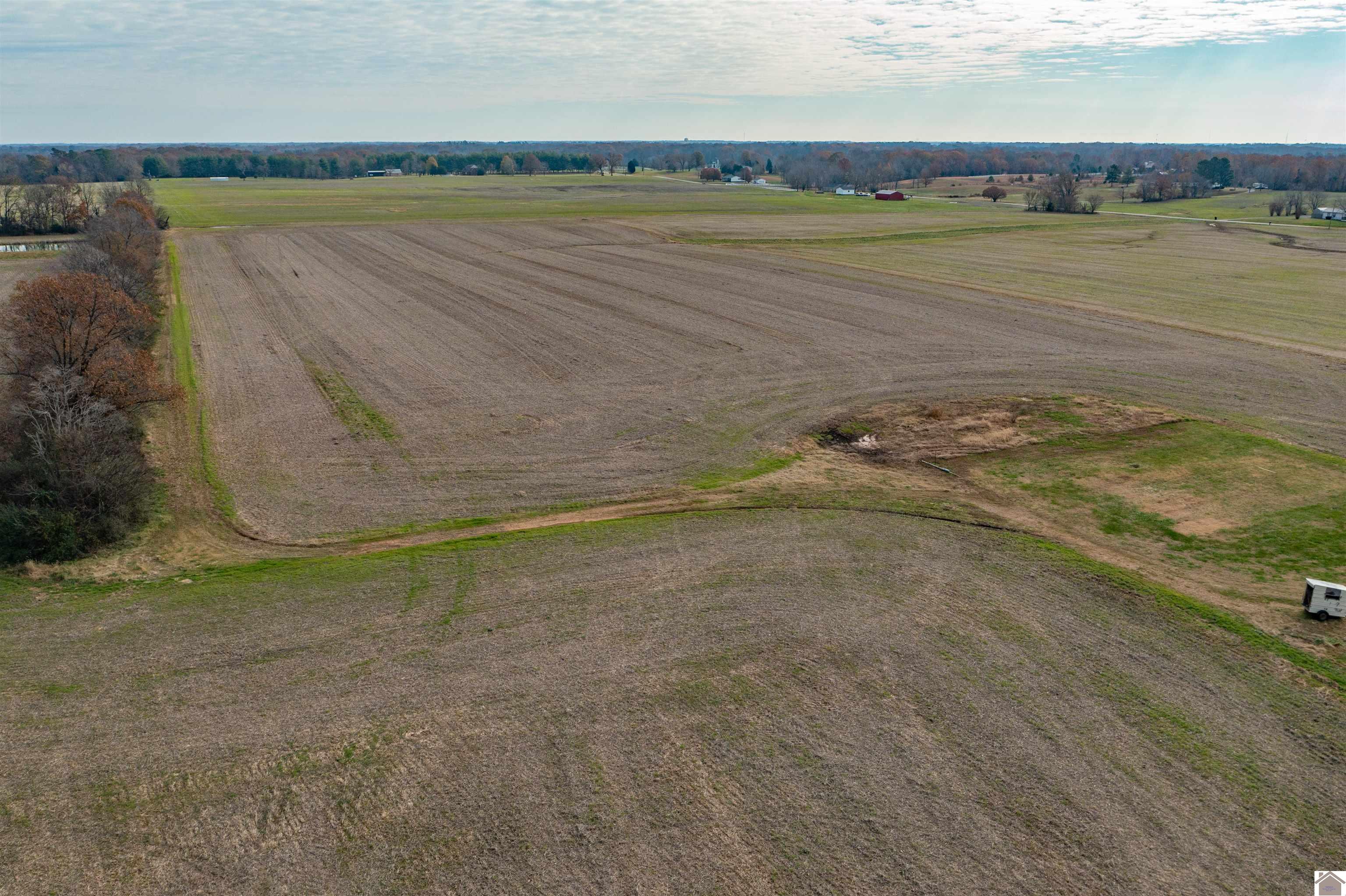 000 Spring Road, Murray, KY 42071 Listing Photo  12