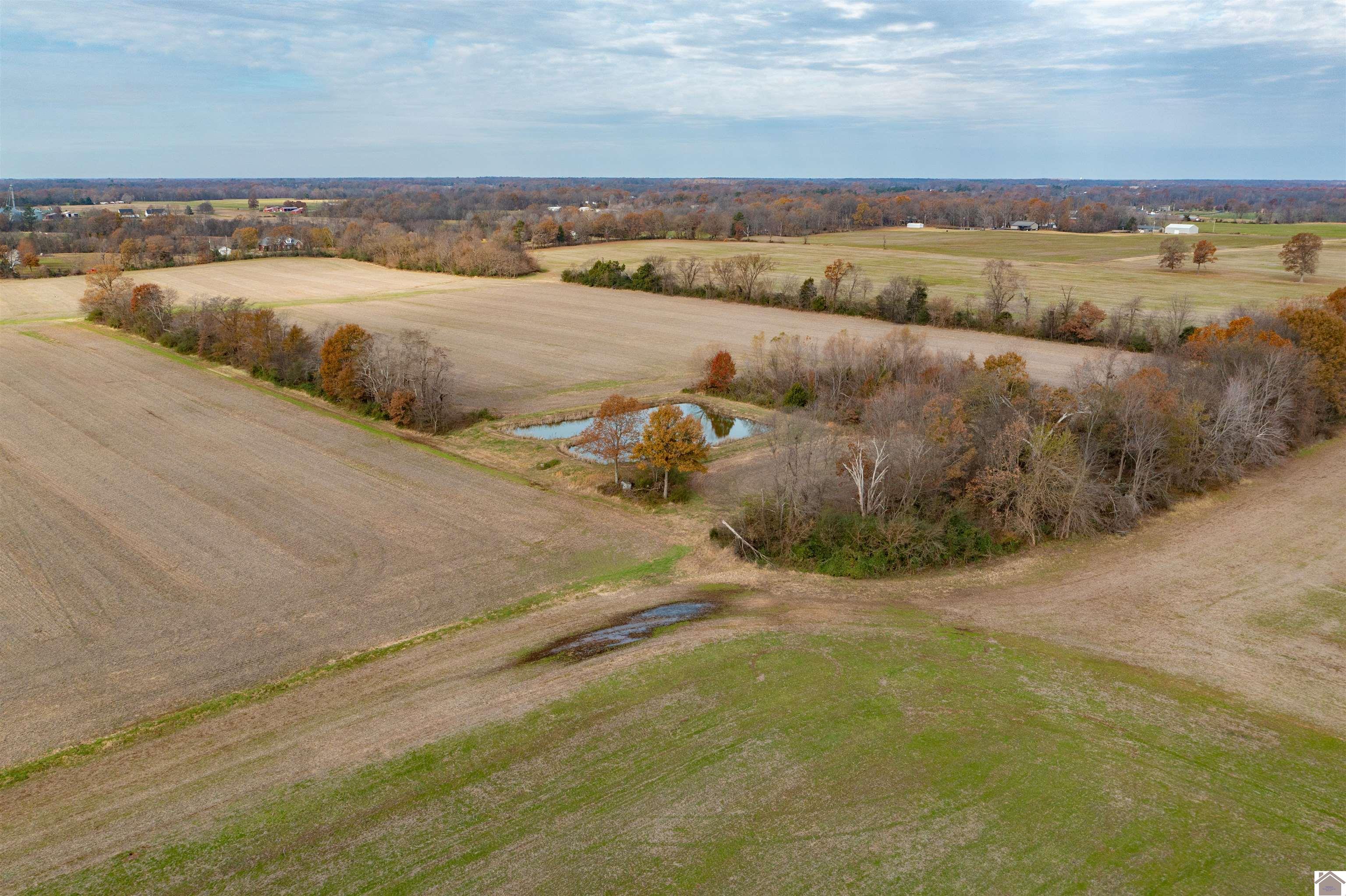 000 Spring Road, Murray, KY 42071 Listing Photo  15