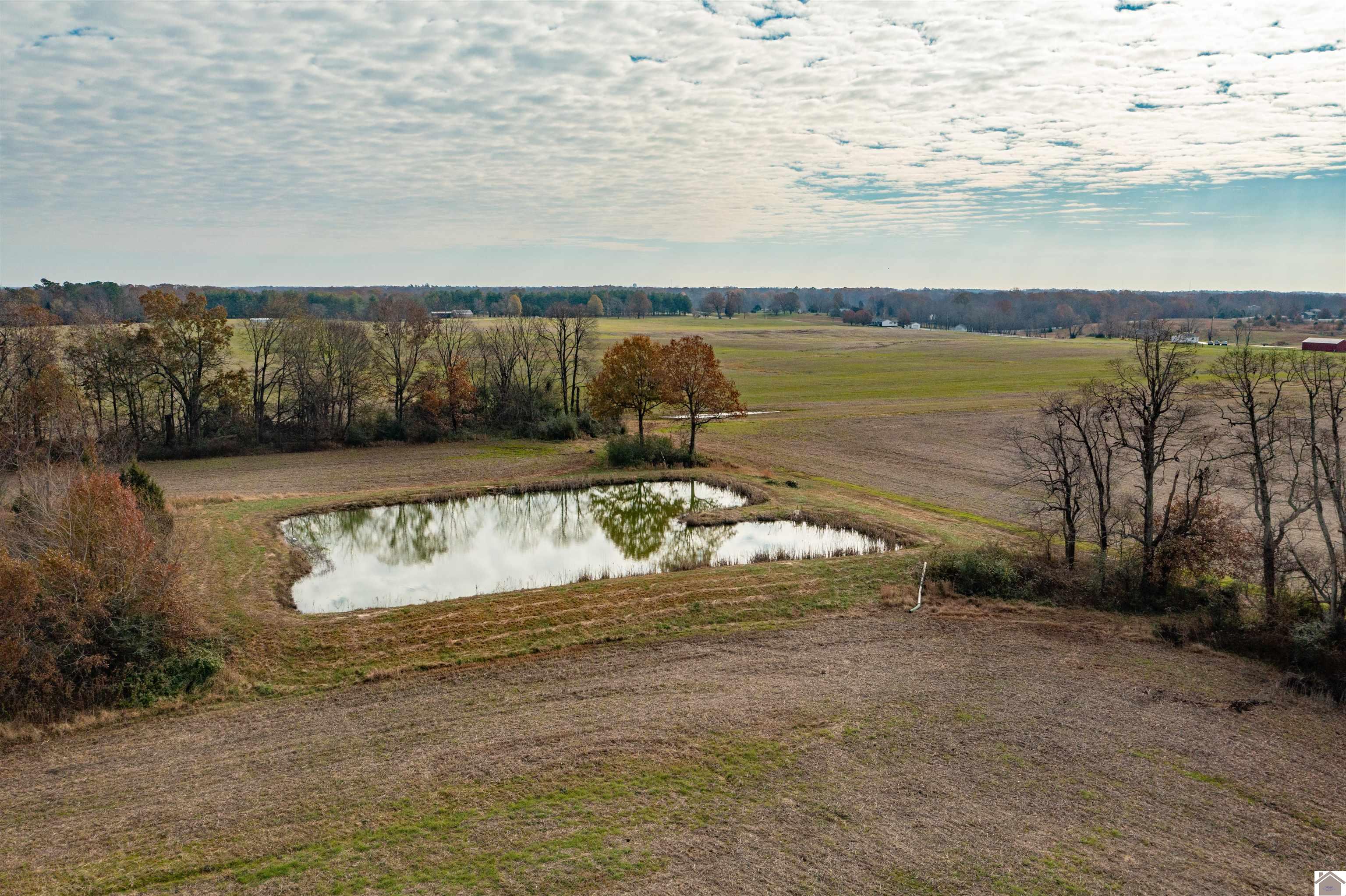000 Spring Road, Murray, KY 42071 Listing Photo  16