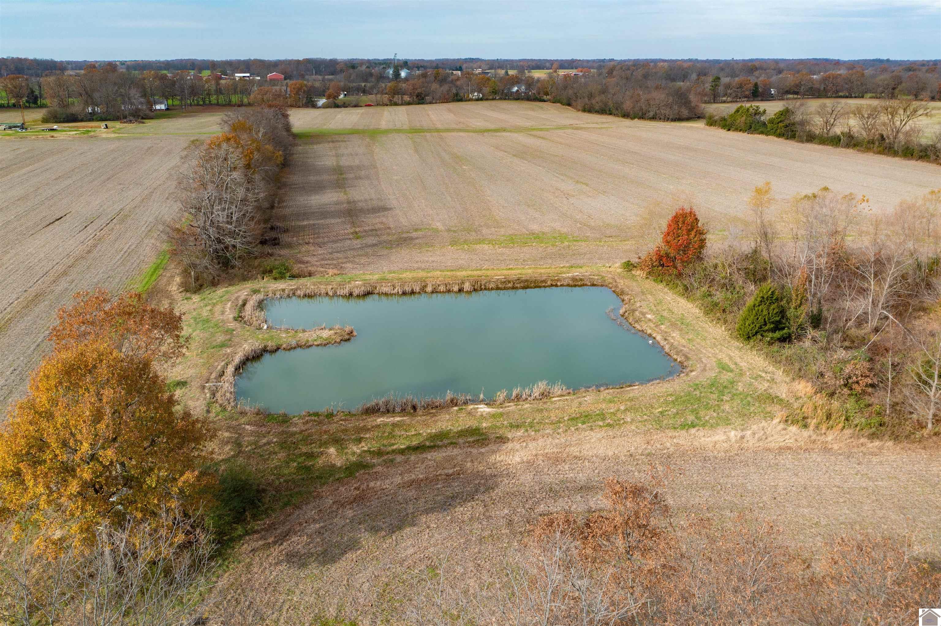 000 Spring Road, Murray, KY 42071 Listing Photo  17