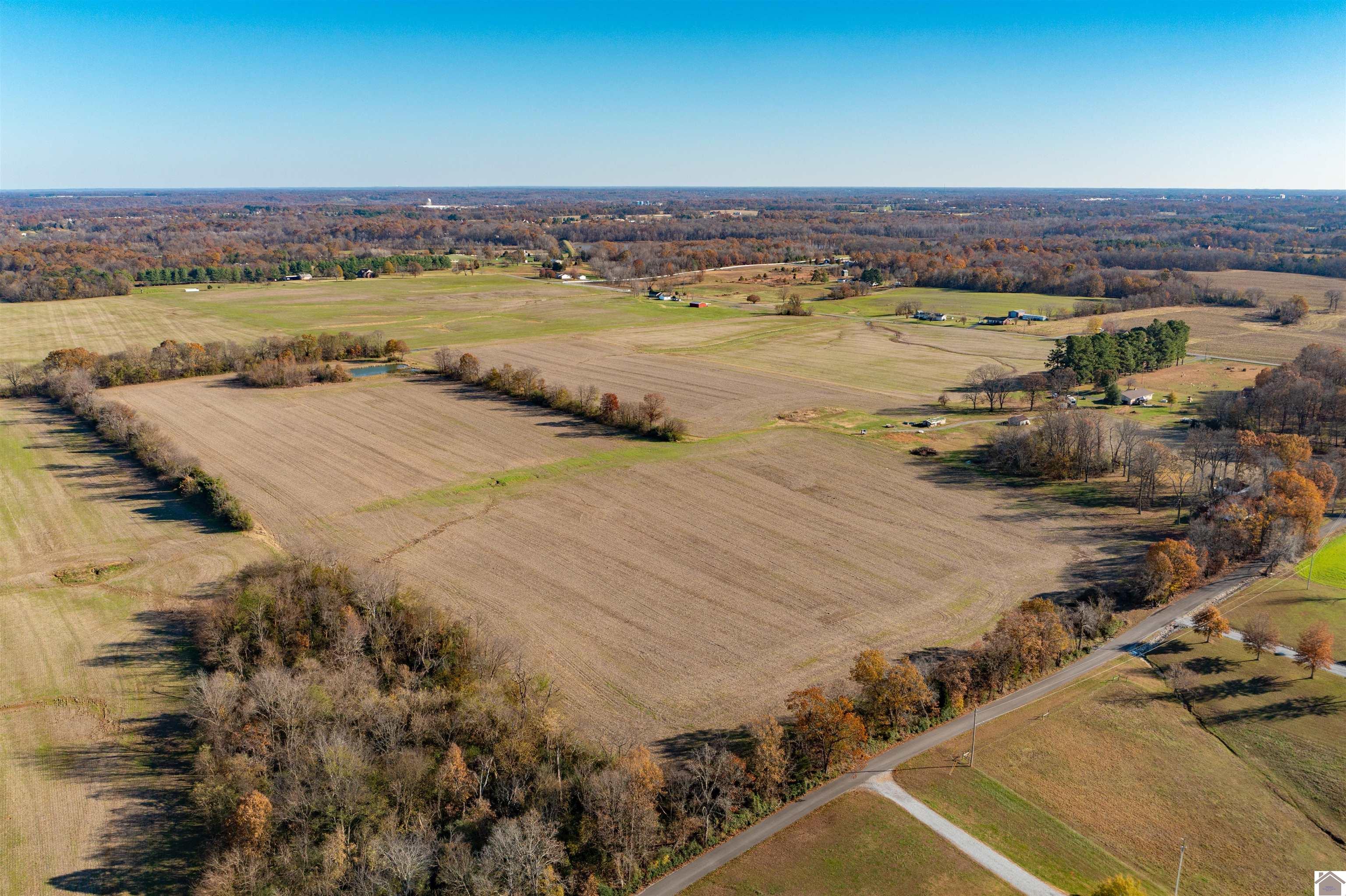 000 Spring Road, Murray, KY 42071 Listing Photo  3