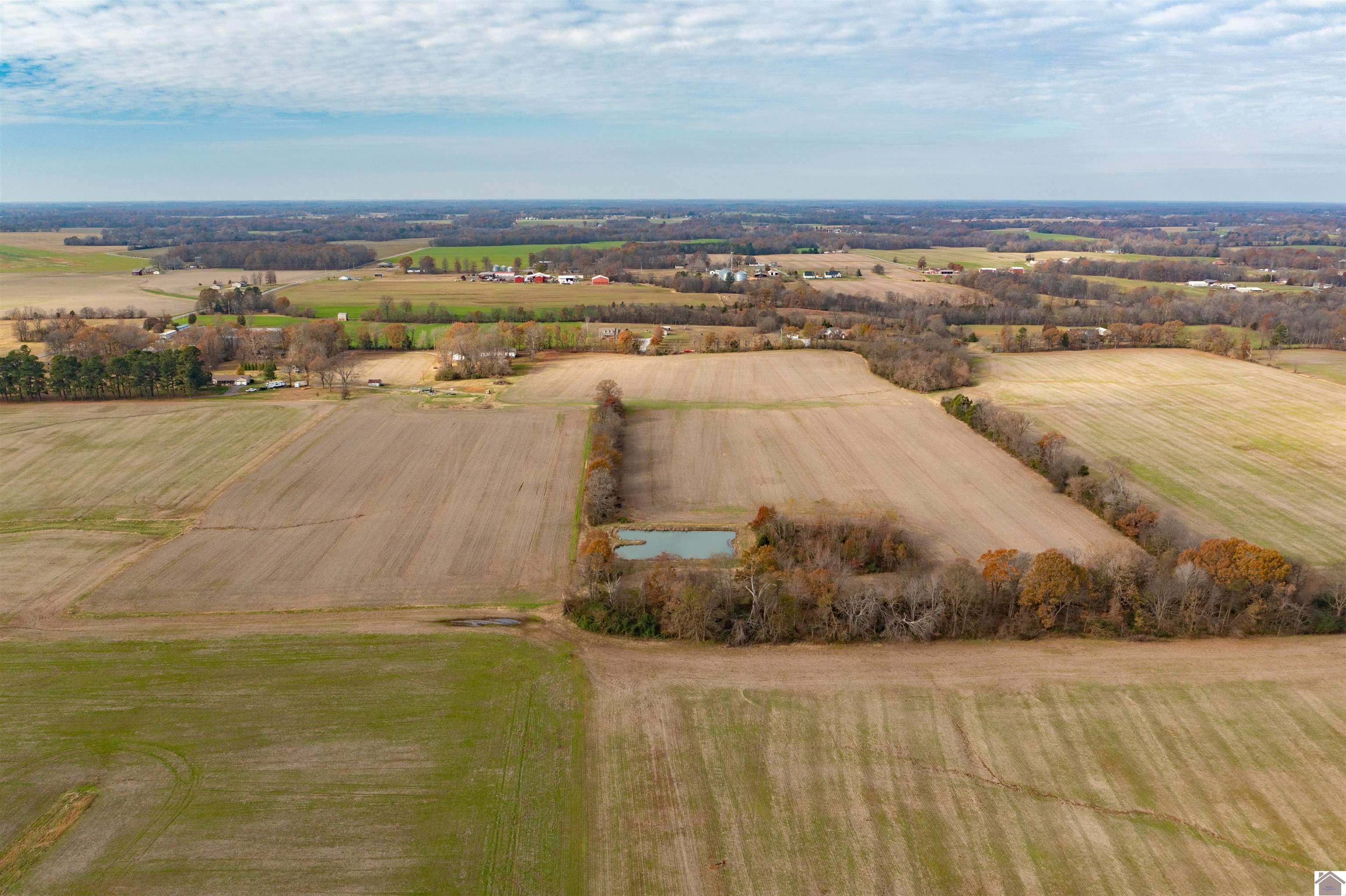 000 Spring Road, Murray, KY 42071 Listing Photo  6
