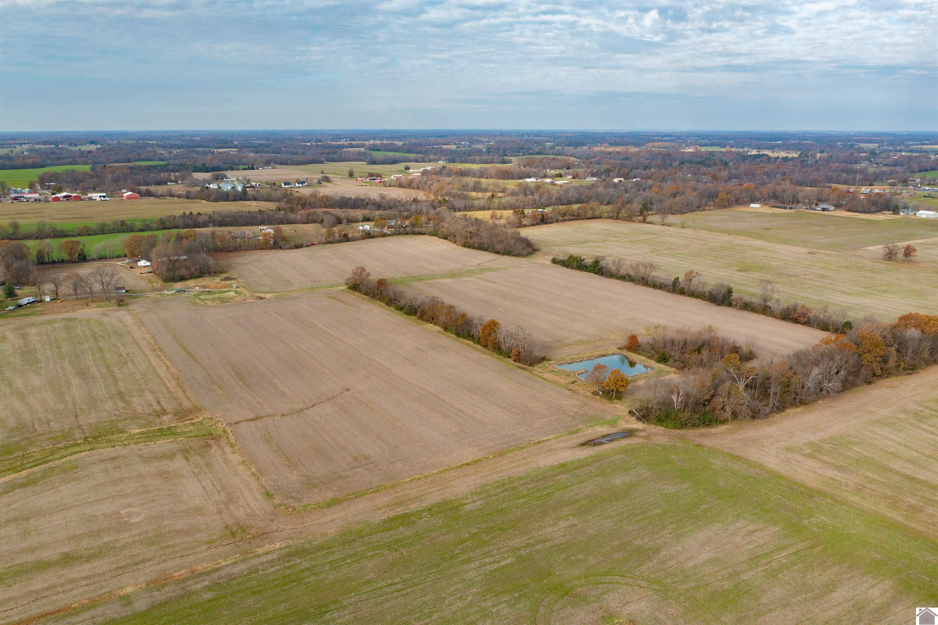 000 Spring Road, Murray, KY 42071 Listing Photo  7