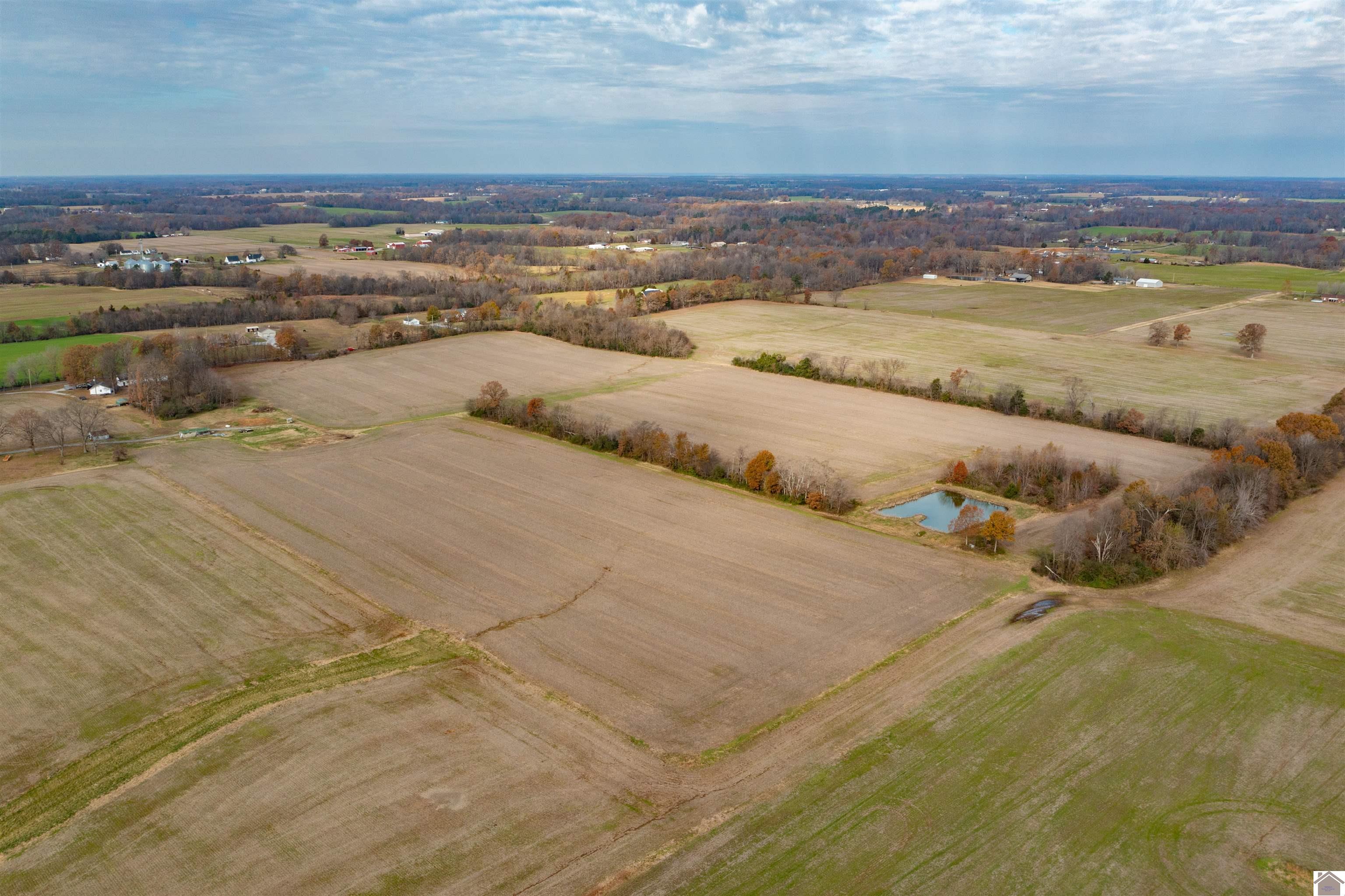 000 Spring Road, Murray, KY 42071 Listing Photo  8