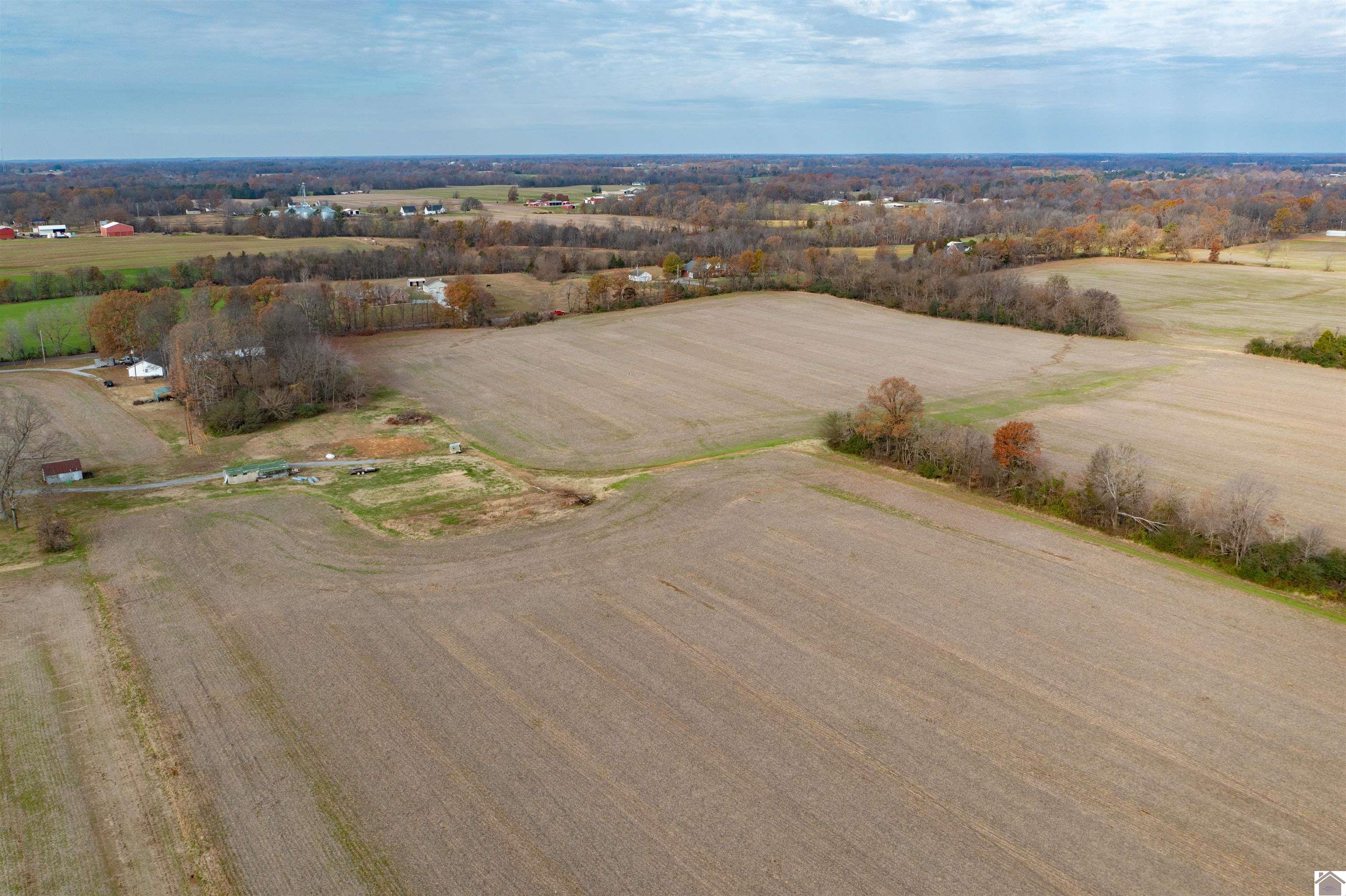 000 Spring Road, Murray, KY 42071 Listing Photo  9