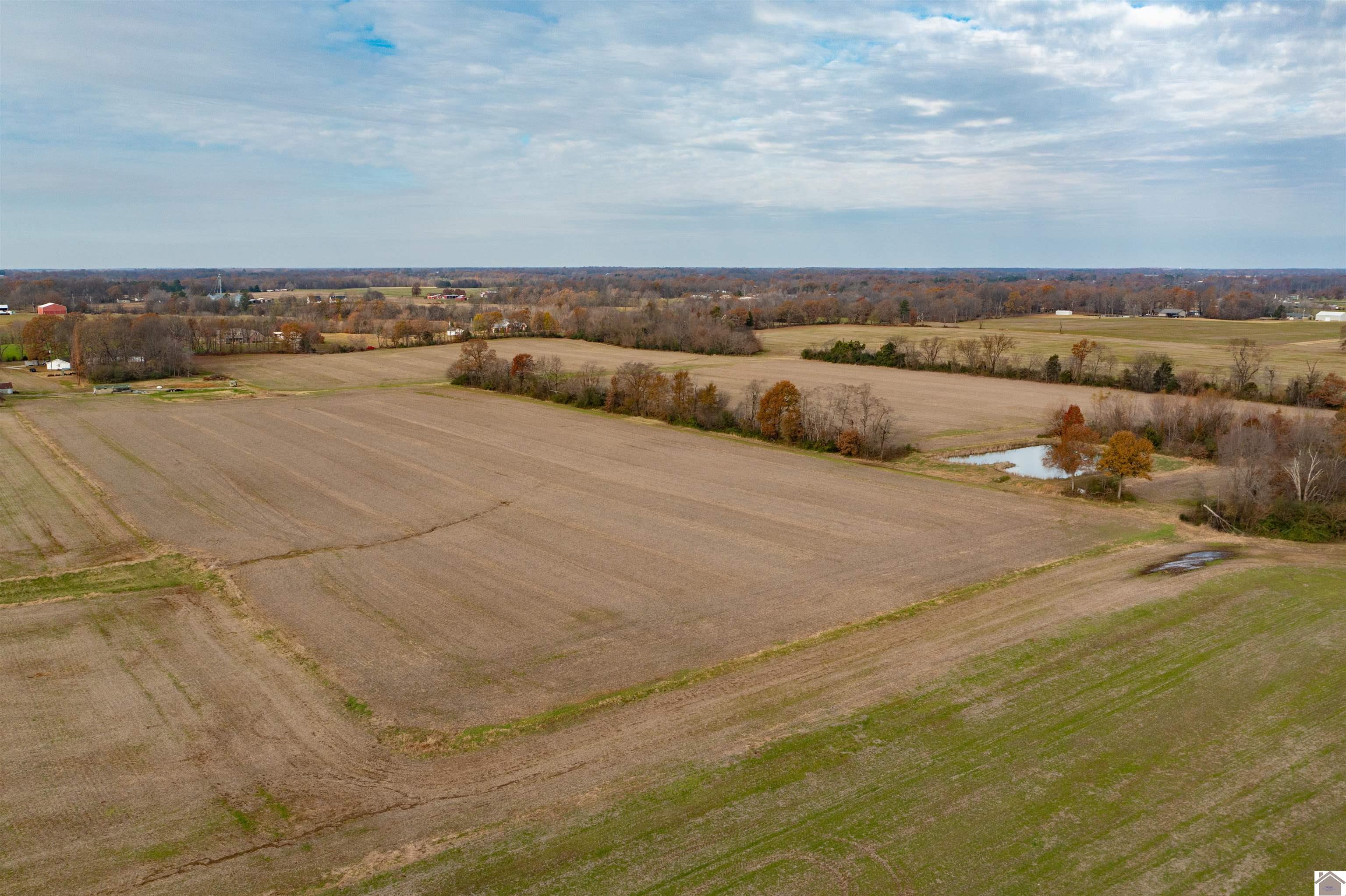 000 Spring Road, Murray, KY 42071 Listing Photo  14