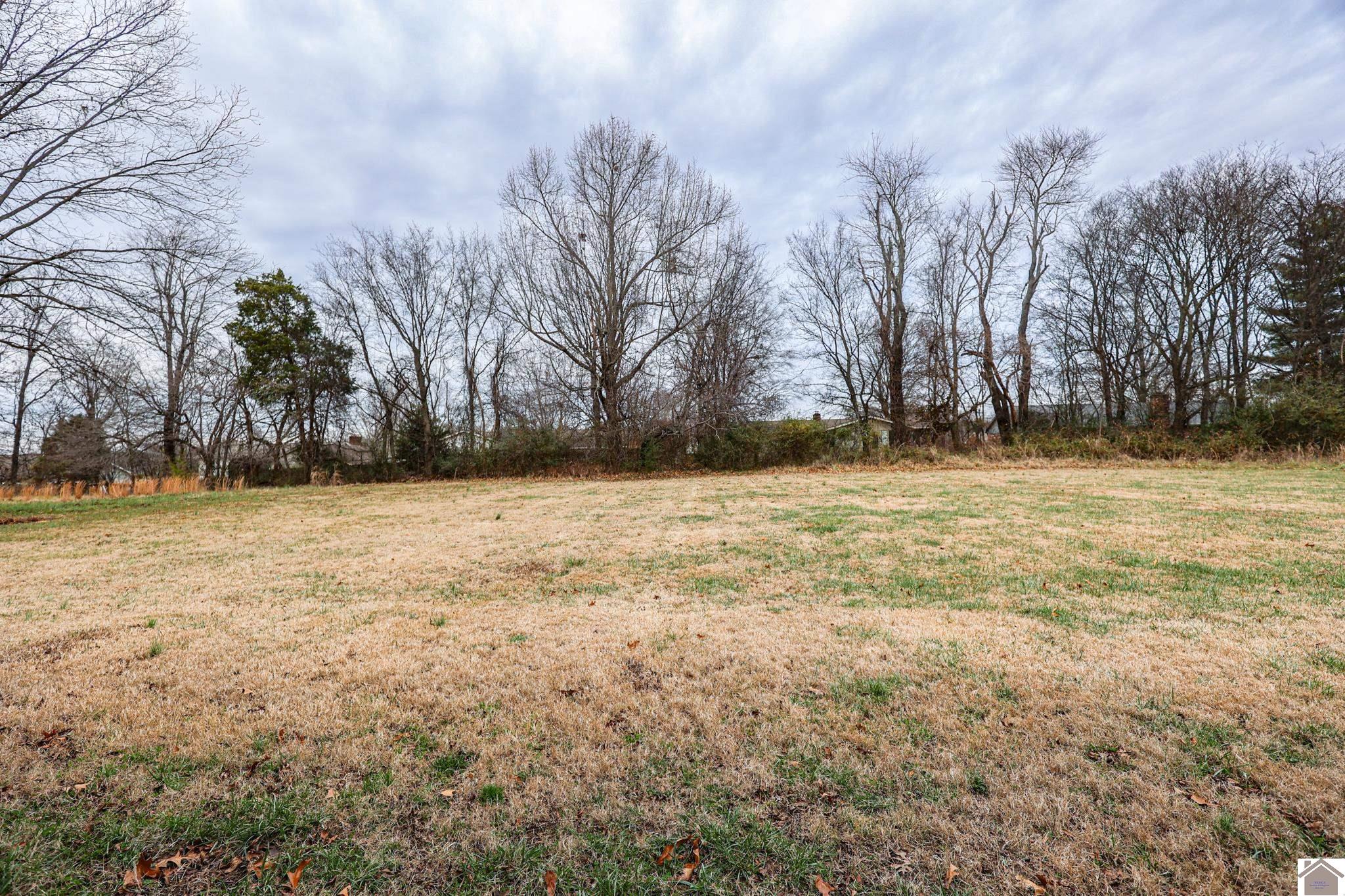 205 Bell Ln, Paducah, KY 42003 Listing Photo  11