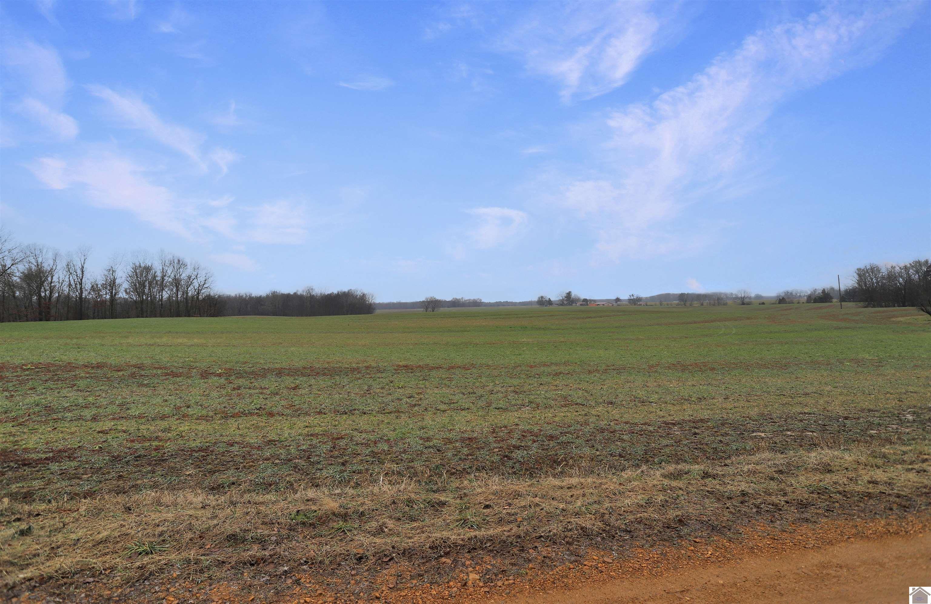 00 Atkins Trail, Hazel, KY 42049 Listing Photo  8