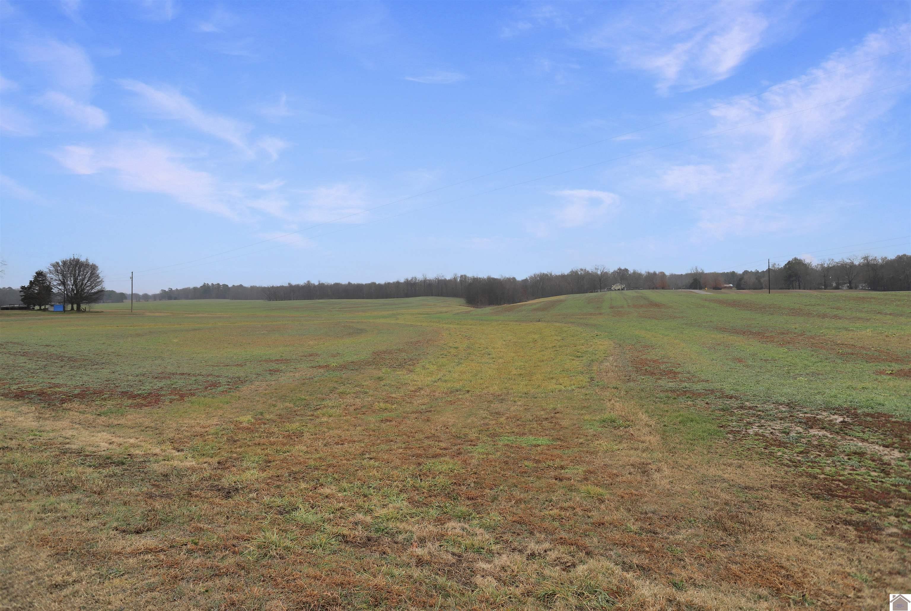 00 Atkins Trail, Hazel, KY 42049 Listing Photo  3