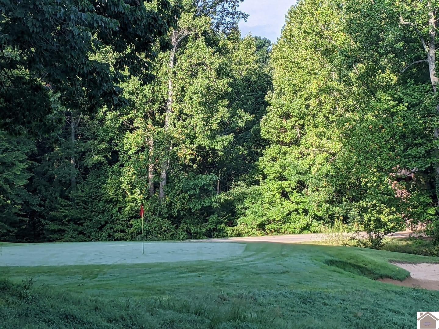 183 Arrowhead Club Dr., Cadiz, KY 42211 Listing Photo  13