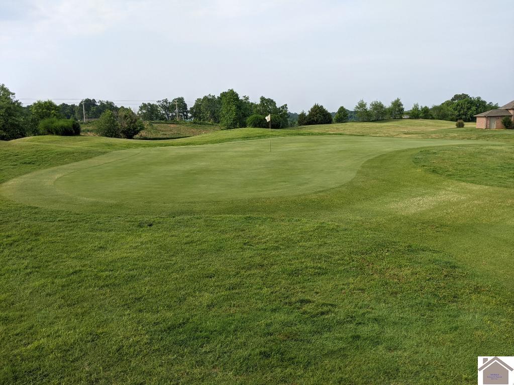 183 Arrowhead Club Dr., Cadiz, KY 42211 Listing Photo  14