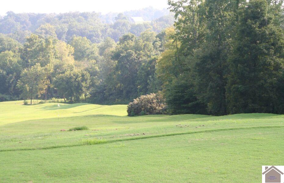 183 Arrowhead Club Dr., Cadiz, KY 42211 Listing Photo  19