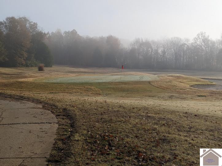 183 Arrowhead Club Dr., Cadiz, KY 42211 Listing Photo  6