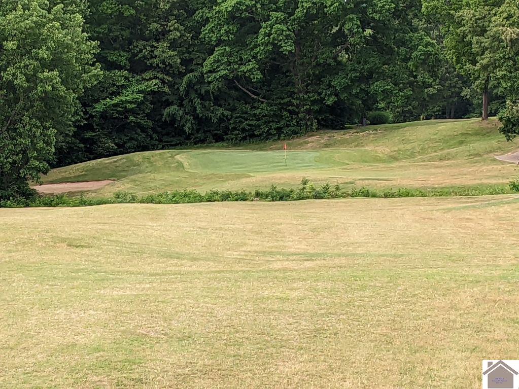 183 Arrowhead Club Dr., Cadiz, KY 42211 Listing Photo  9