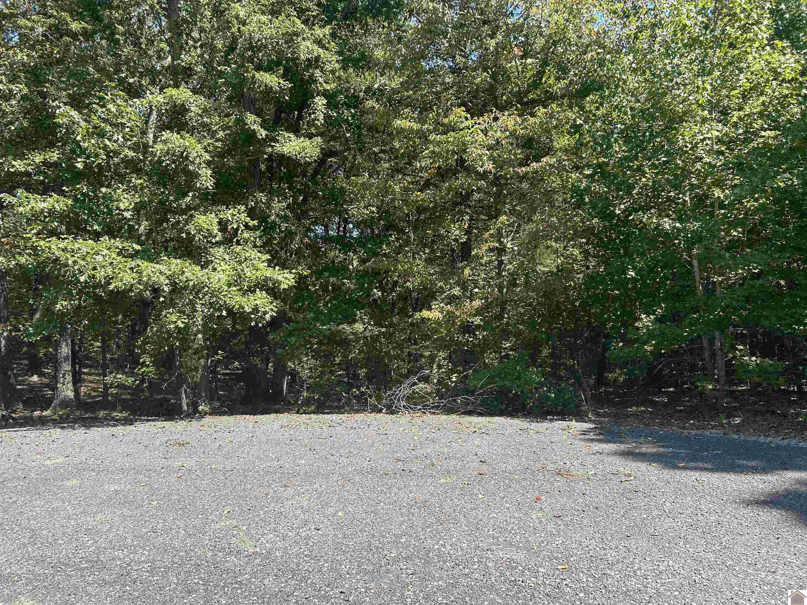 141 Centerview Road, Murray, KY 42071 Listing Photo  8
