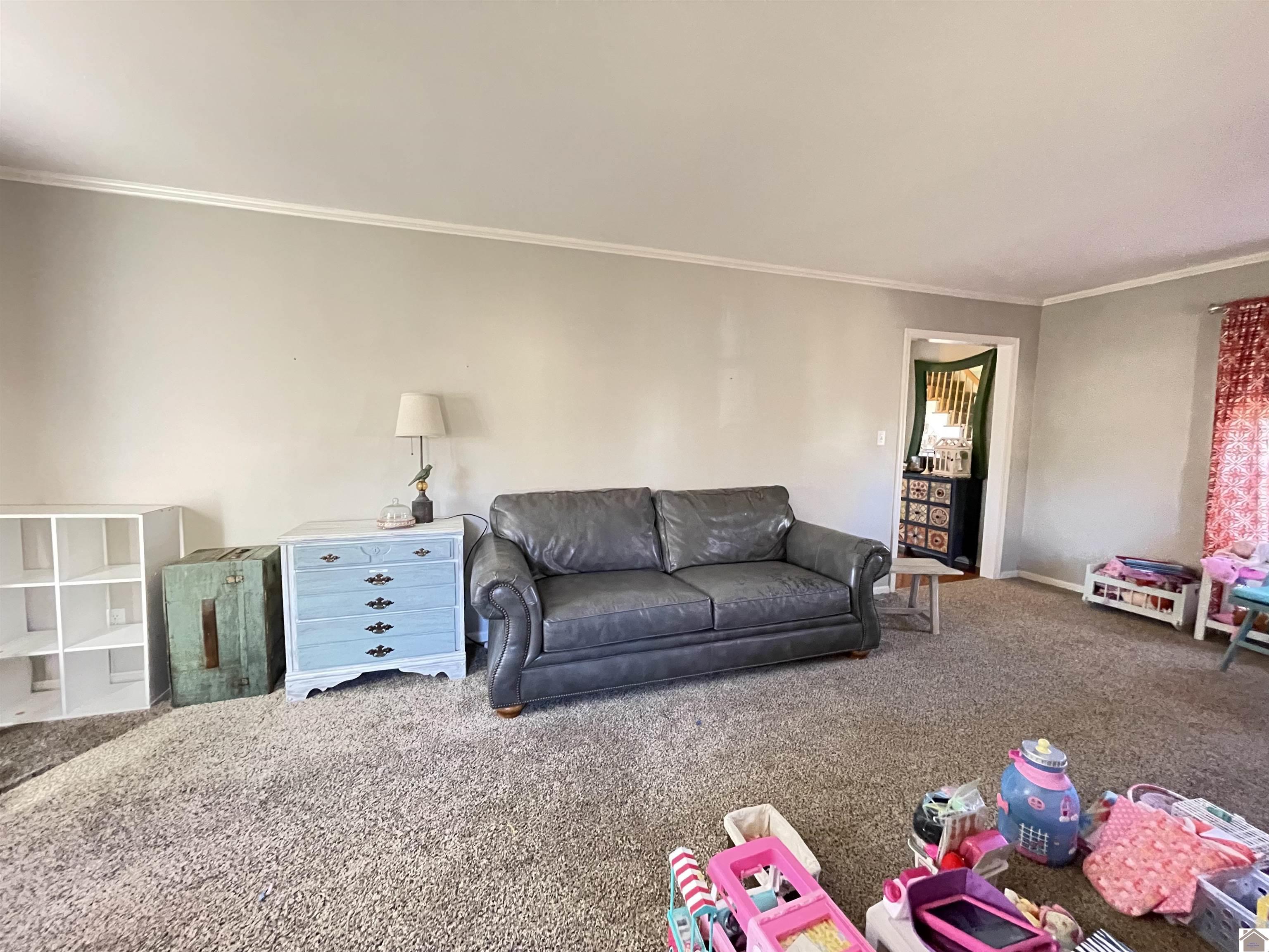 126 Campbell Ct, Mayfield, KY 42066 Listing Photo  31