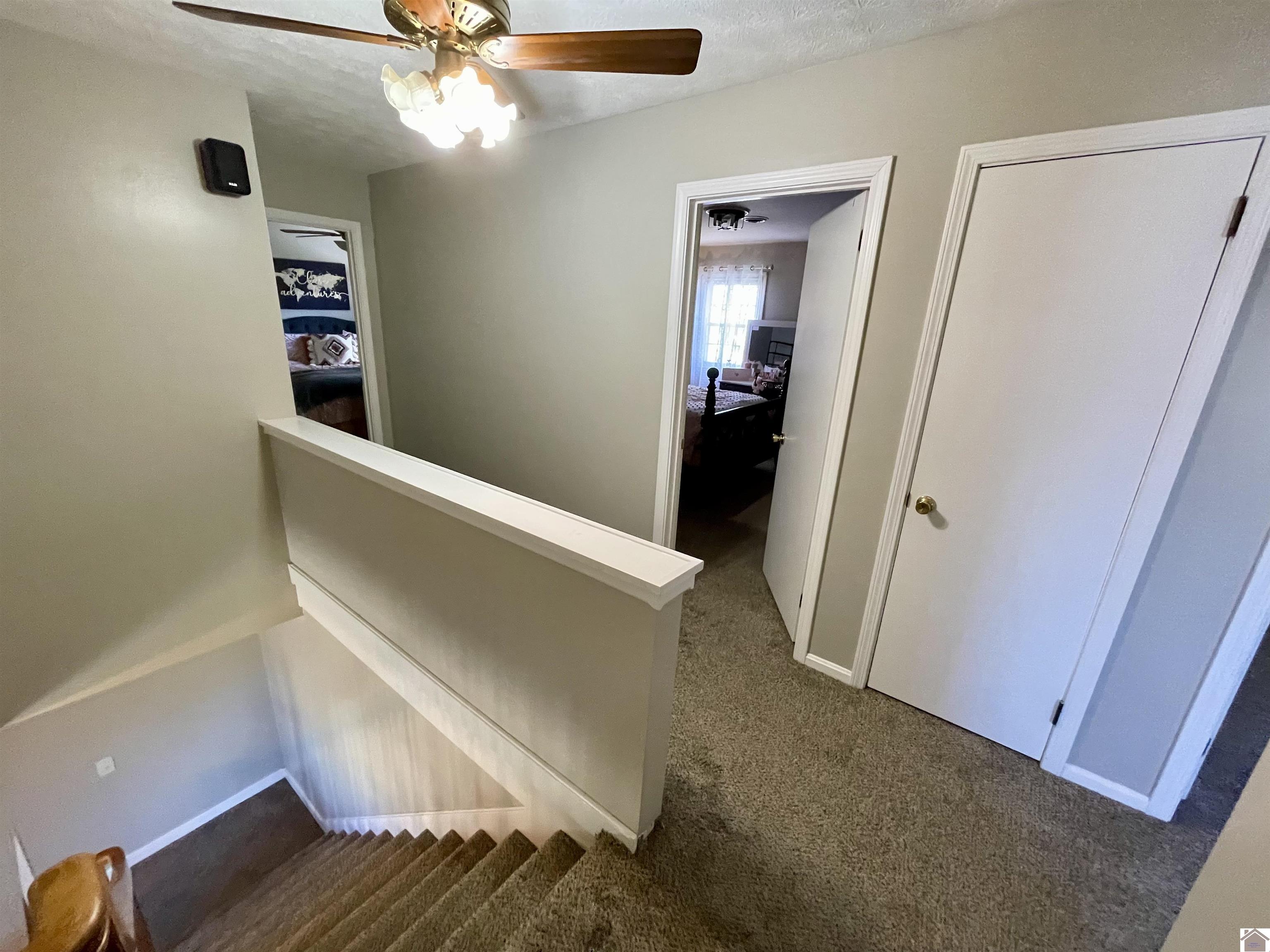 126 Campbell Ct, Mayfield, KY 42066 Listing Photo  32