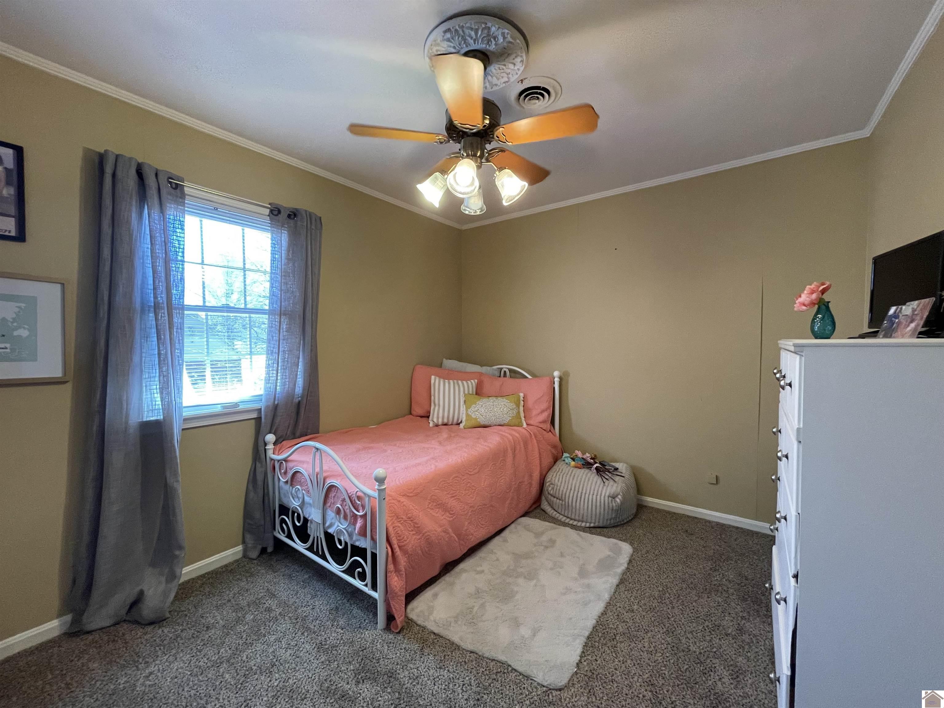 126 Campbell Ct, Mayfield, KY 42066 Listing Photo  47