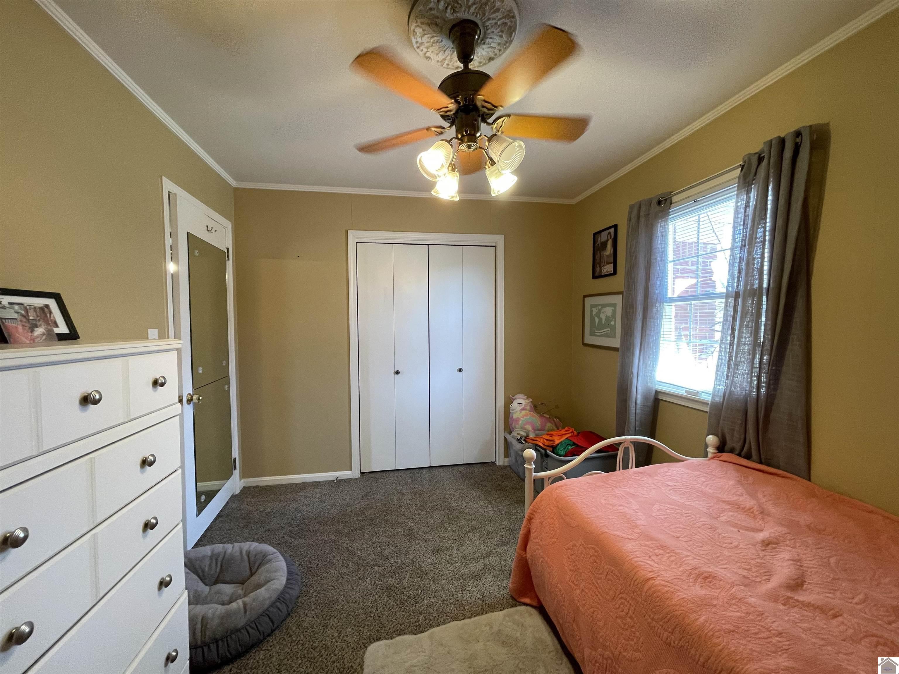 126 Campbell Ct, Mayfield, KY 42066 Listing Photo  48