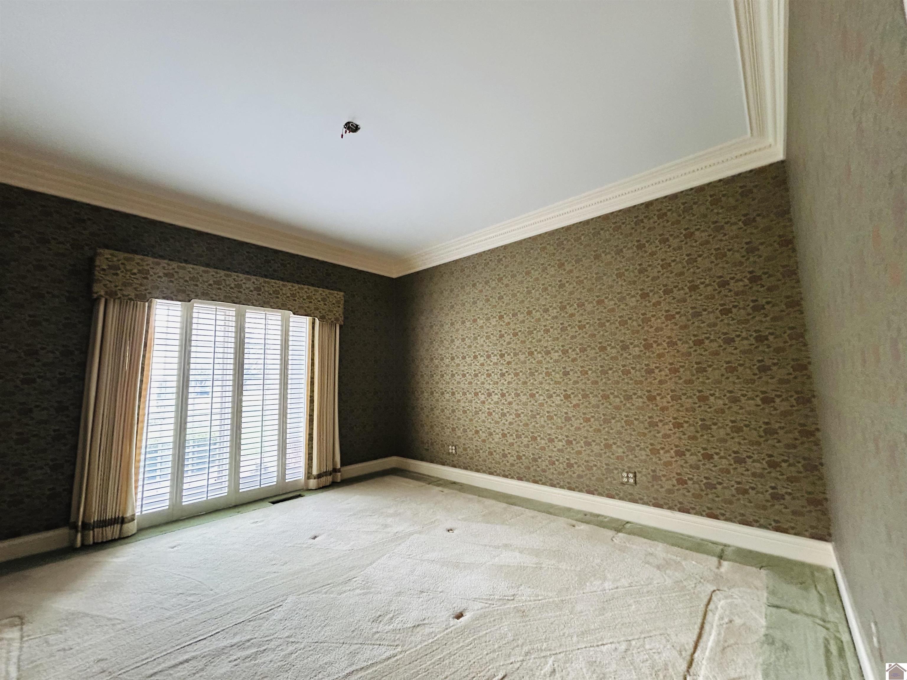 666 Whitney Drive, Paducah, KY 42001 Listing Photo  26