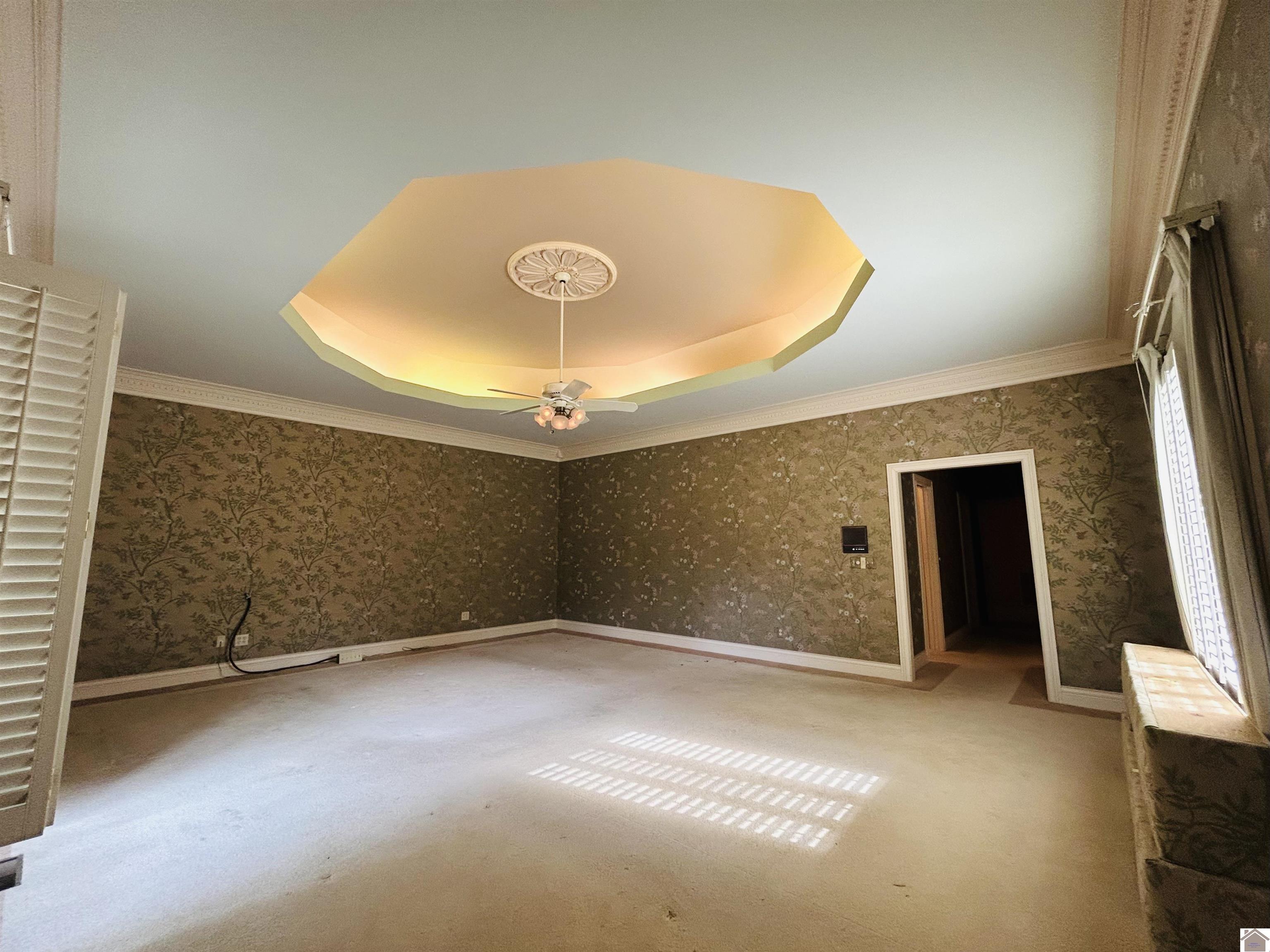 666 Whitney Drive, Paducah, KY 42001 Listing Photo  44