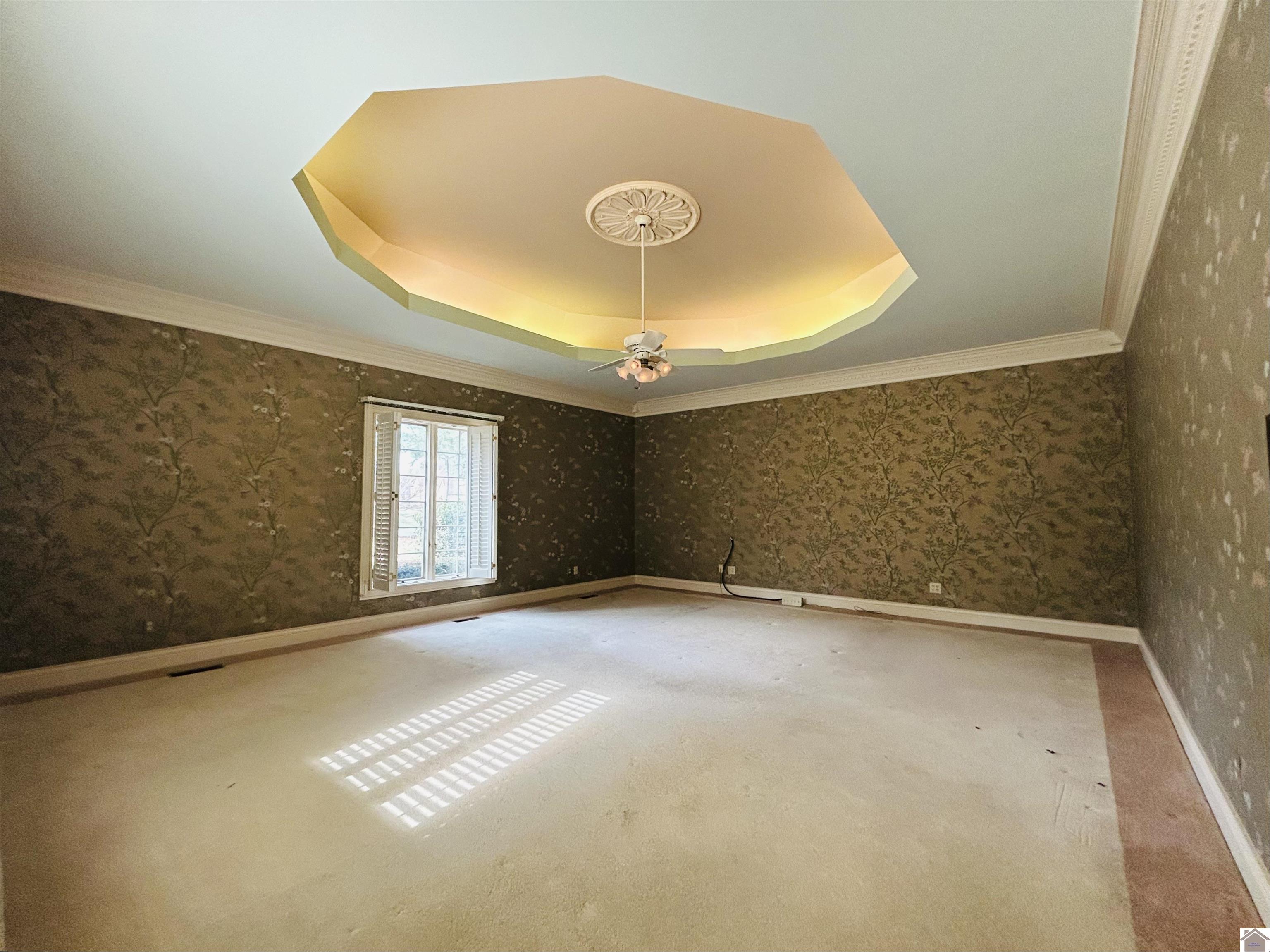 666 Whitney Drive, Paducah, KY 42001 Listing Photo  45