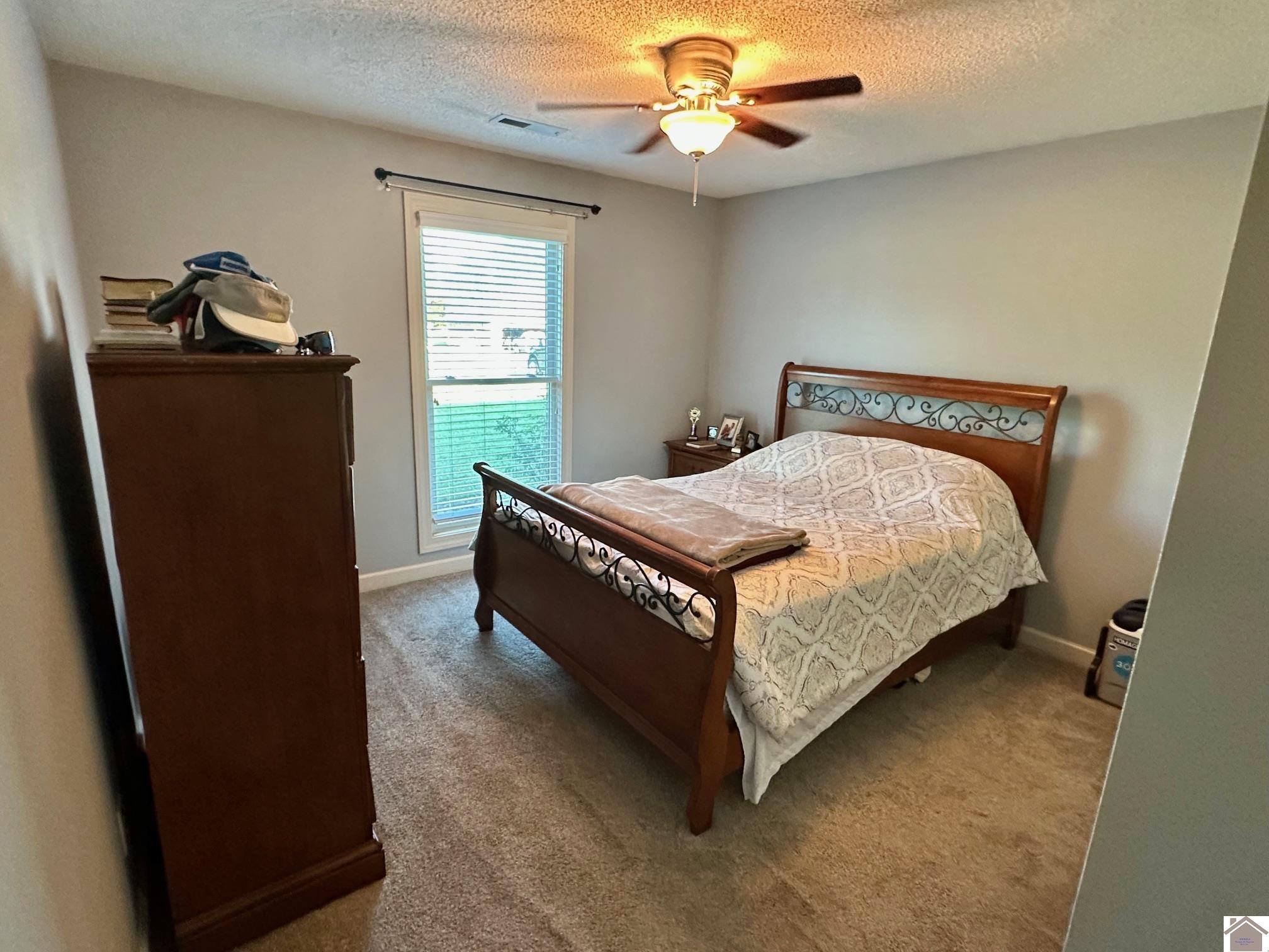 159 Caleb Drive, Mayfield, KY 42066 Listing Photo  19