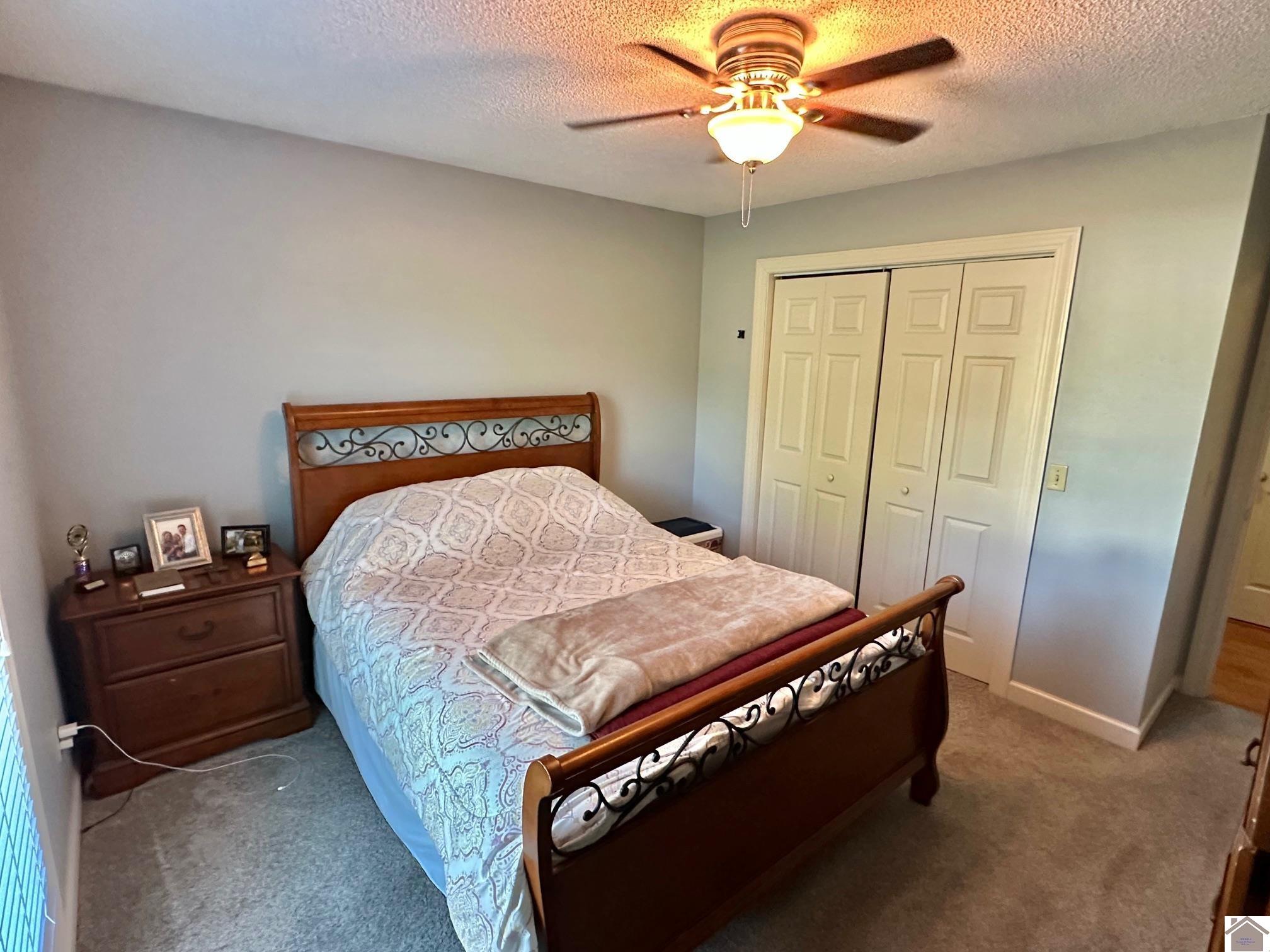 159 Caleb Drive, Mayfield, KY 42066 Listing Photo  20