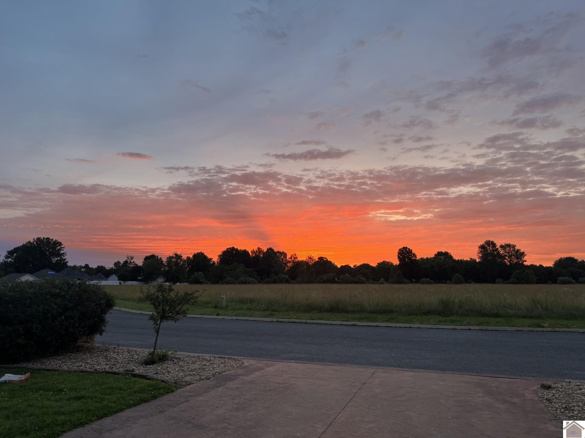 395 Yorkshire Dales, Mayfield, KY 42066 Listing Photo  50