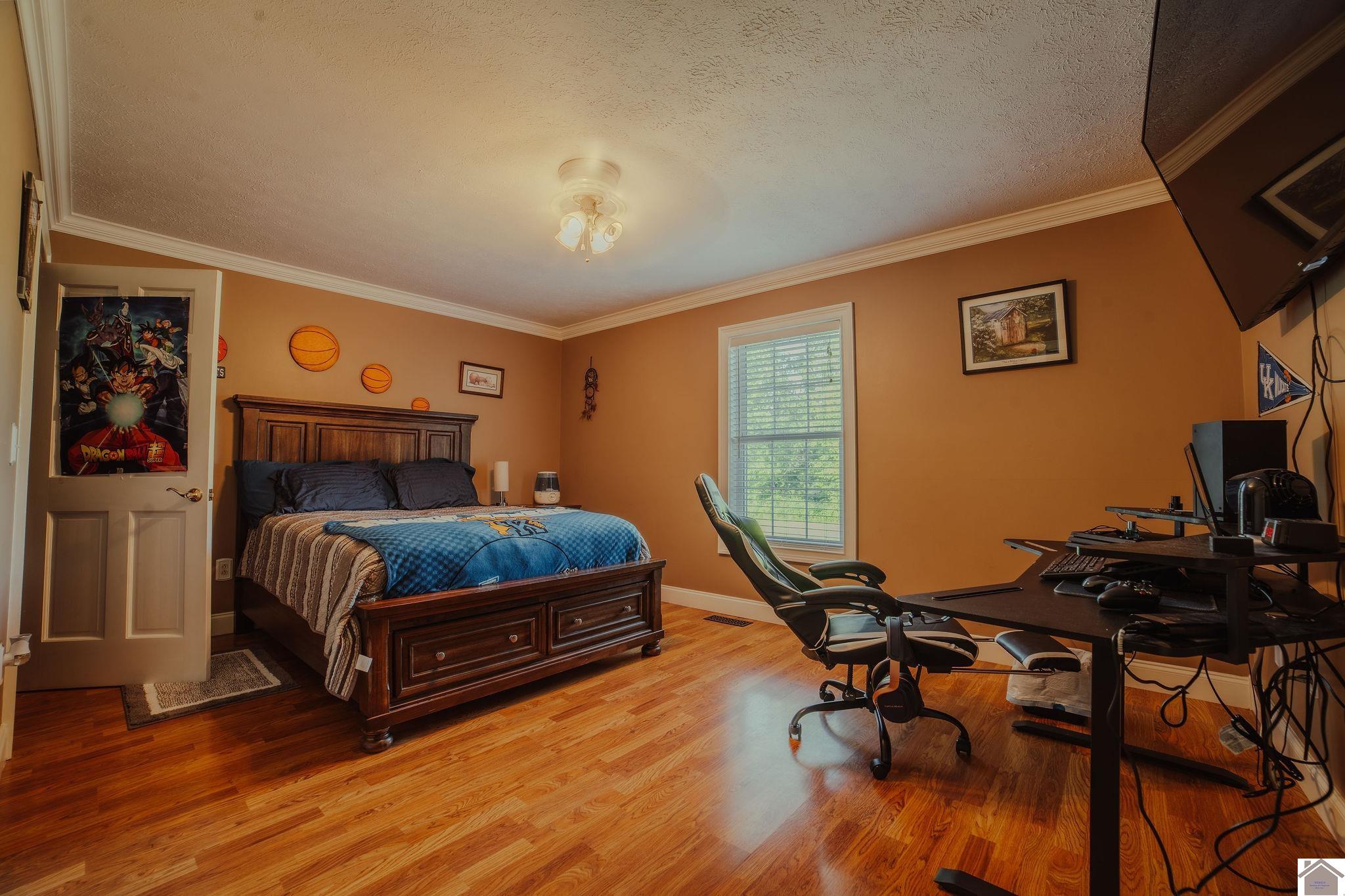 2878 State Route 303, Mayfield, KY 42066 Listing Photo  25