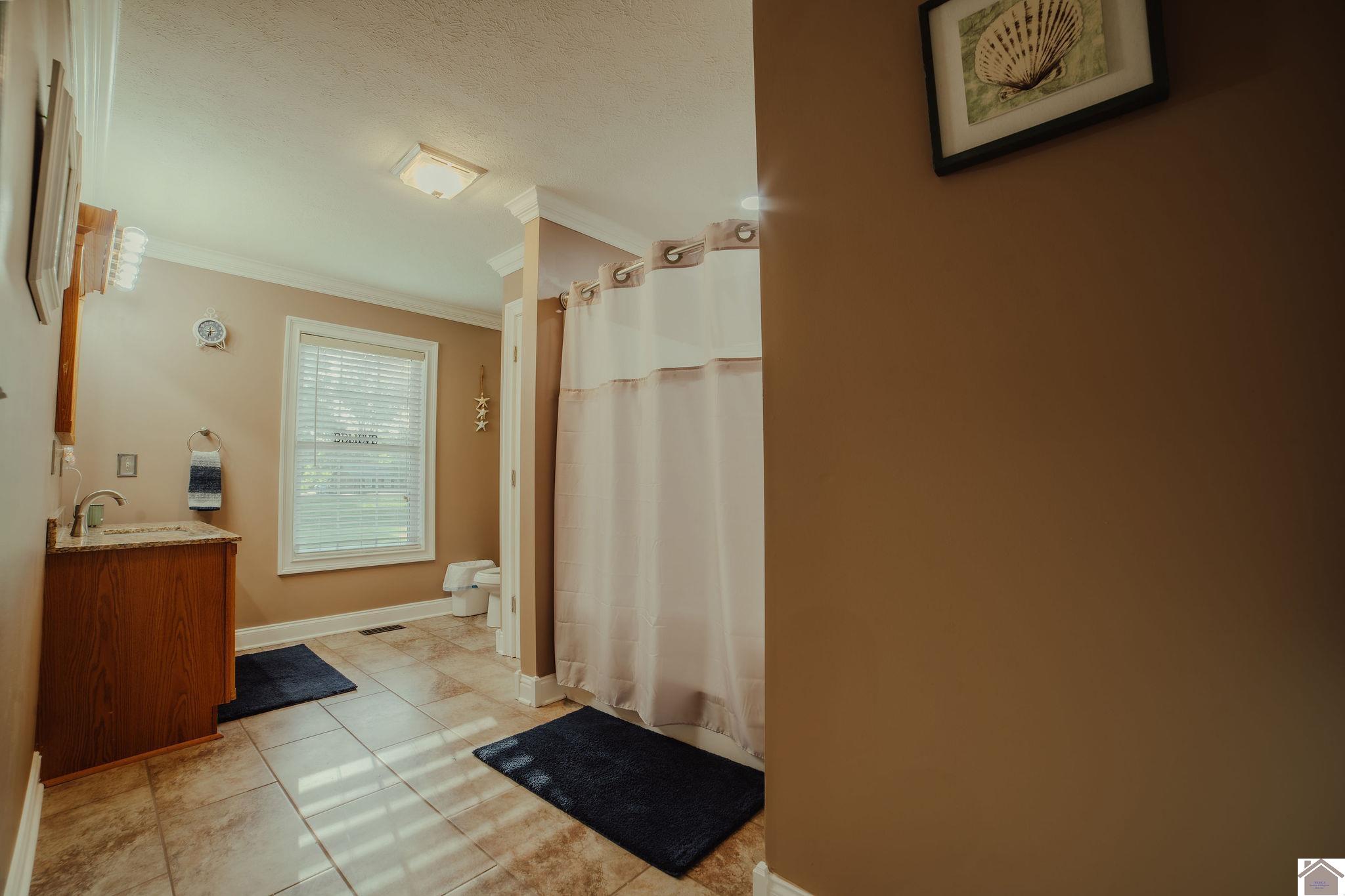 2878 State Route 303, Mayfield, KY 42066 Listing Photo  26