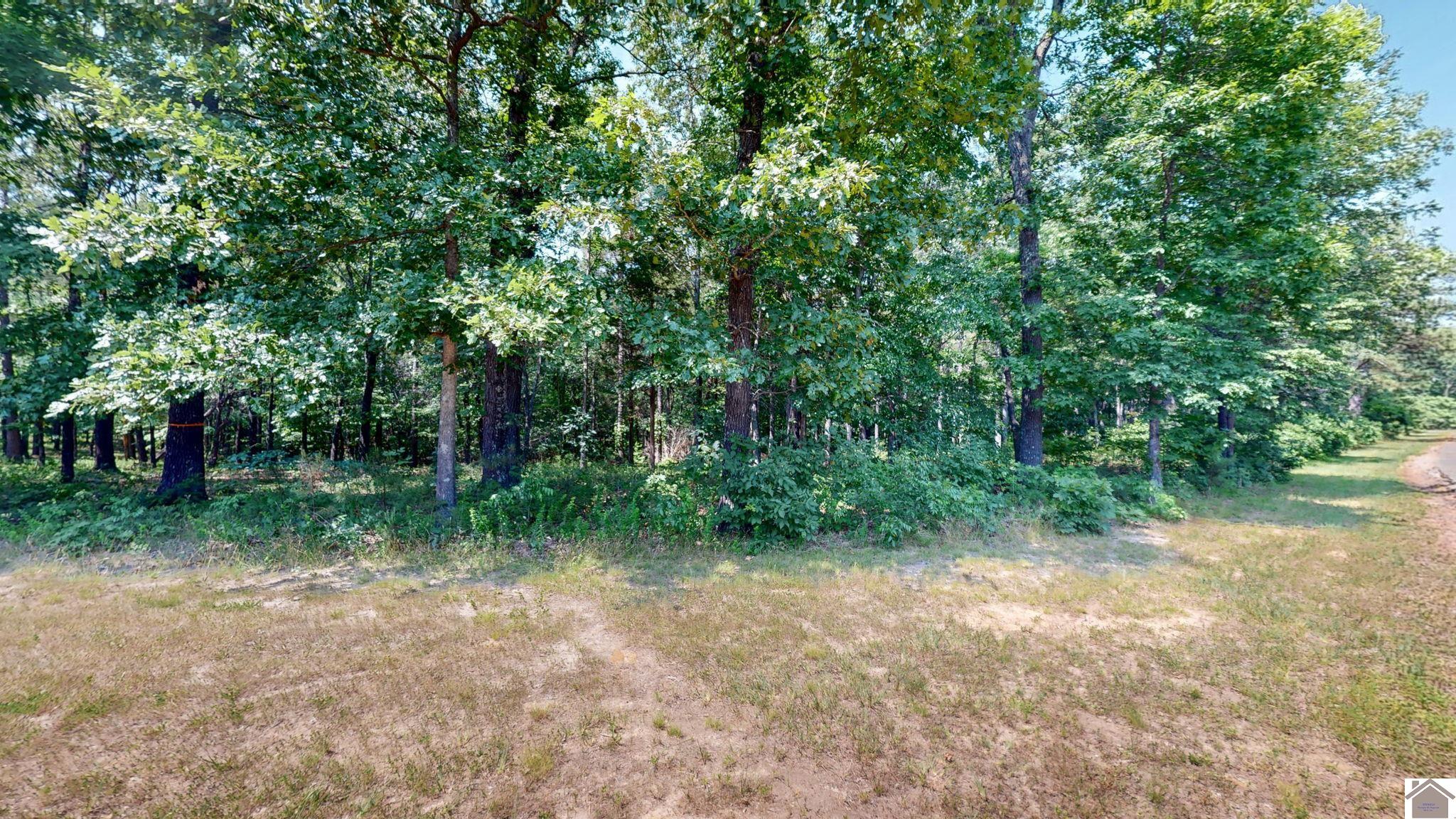 00 Streetland Ln, Murray, KY 42071-0000 Listing Photo  1
