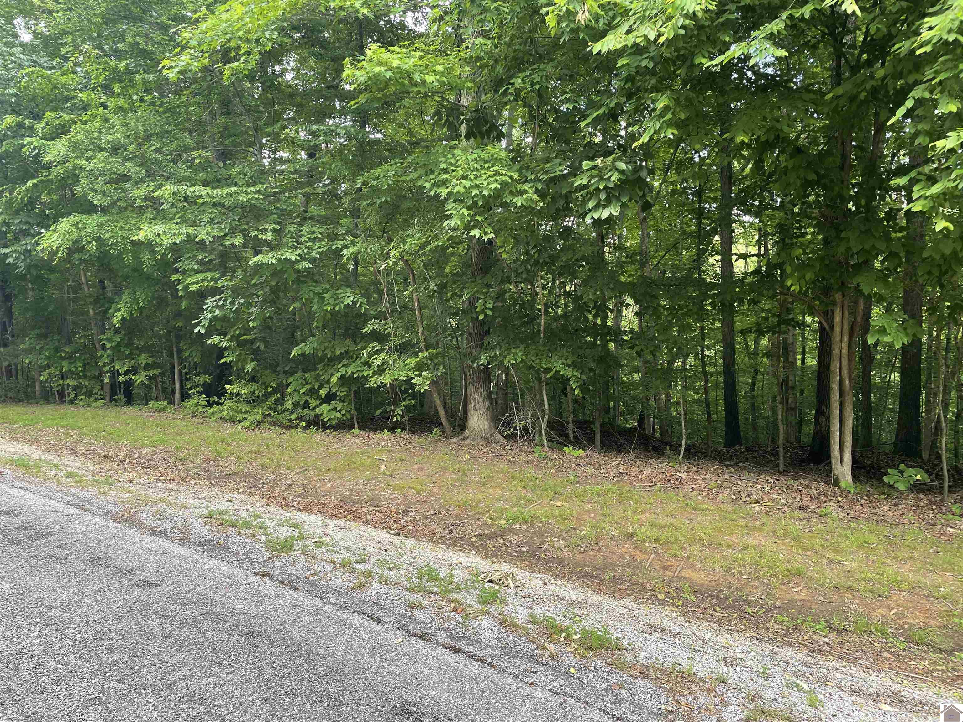Lot 59 Quail Ridge Rd., Cadiz, KY 42211 Listing Photo  1