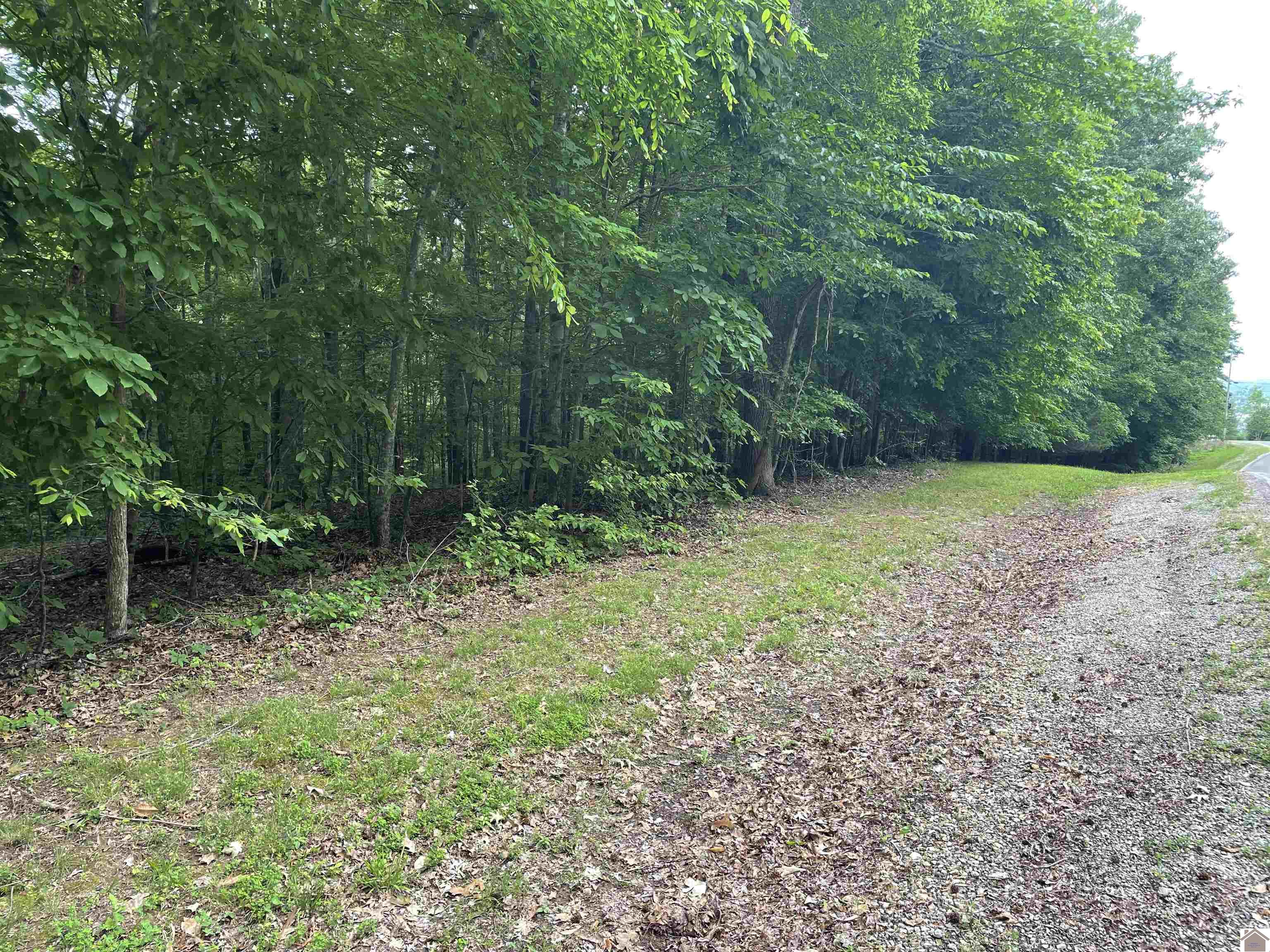 Lot 59 Quail Ridge Rd., Cadiz, KY 42211 Listing Photo  4