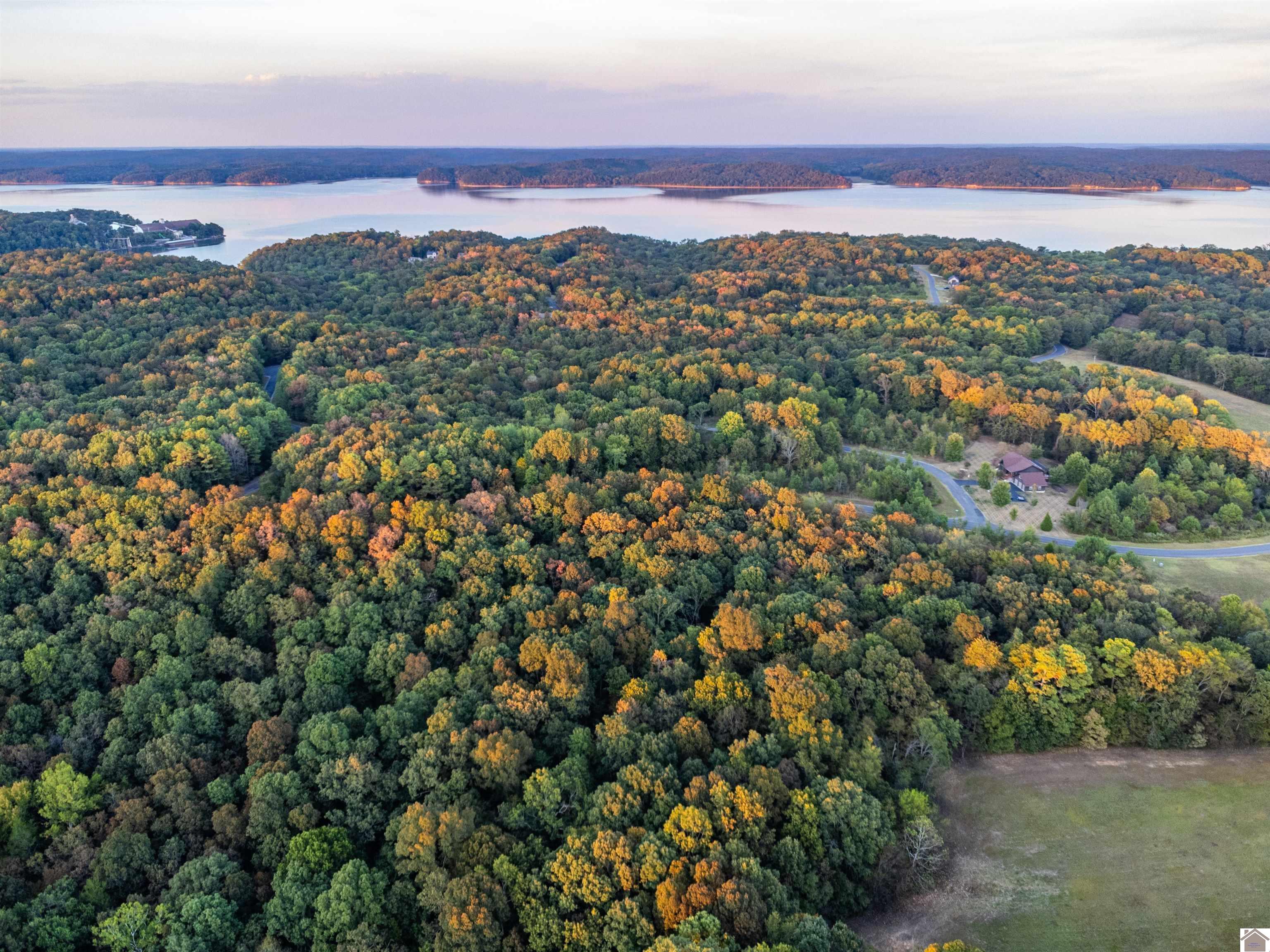 Lot 79b waterfowl, Murray, KY 42071 Listing Photo  3