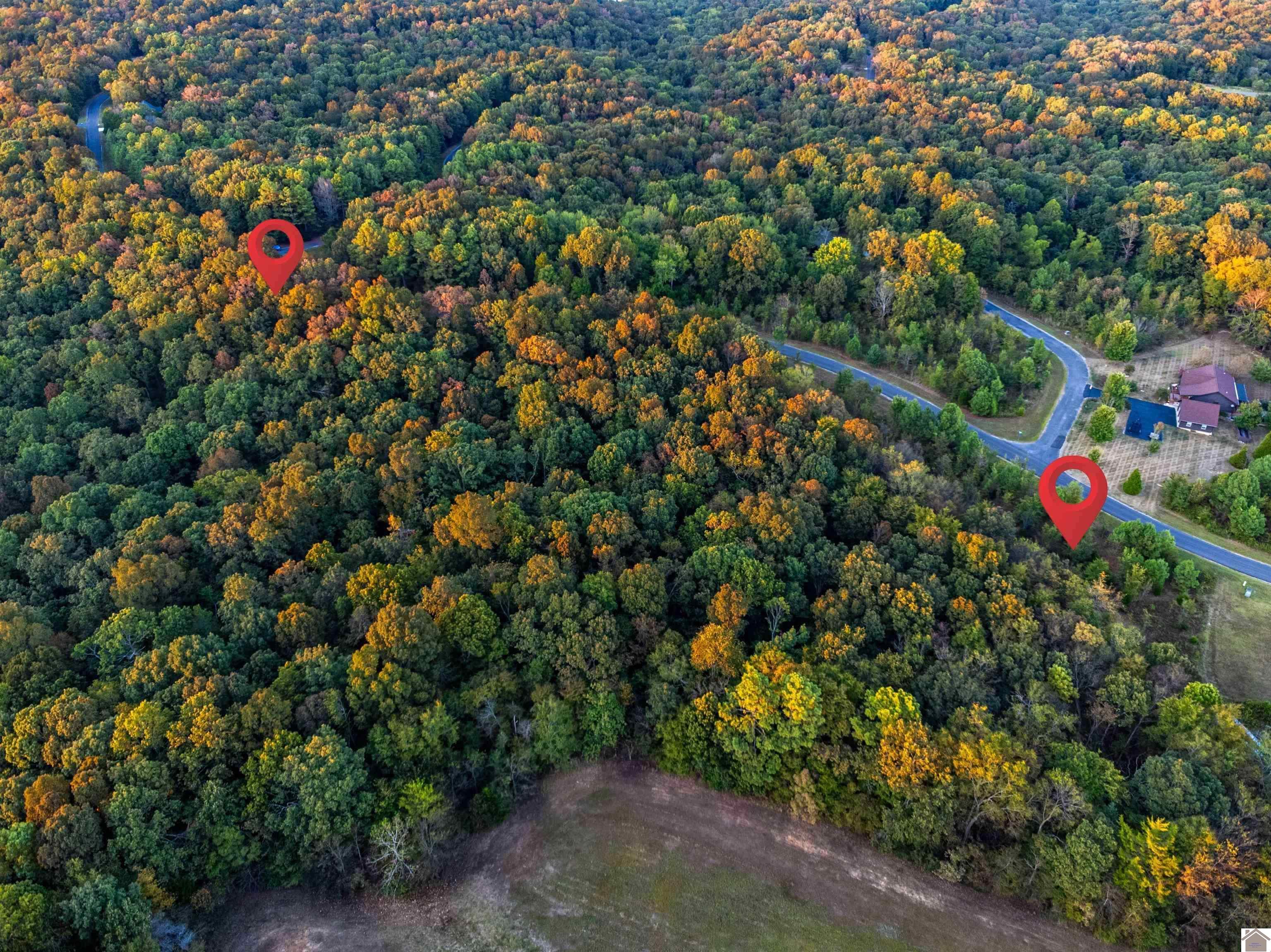 Lot 79b waterfowl, Murray, KY 42071 Listing Photo  5